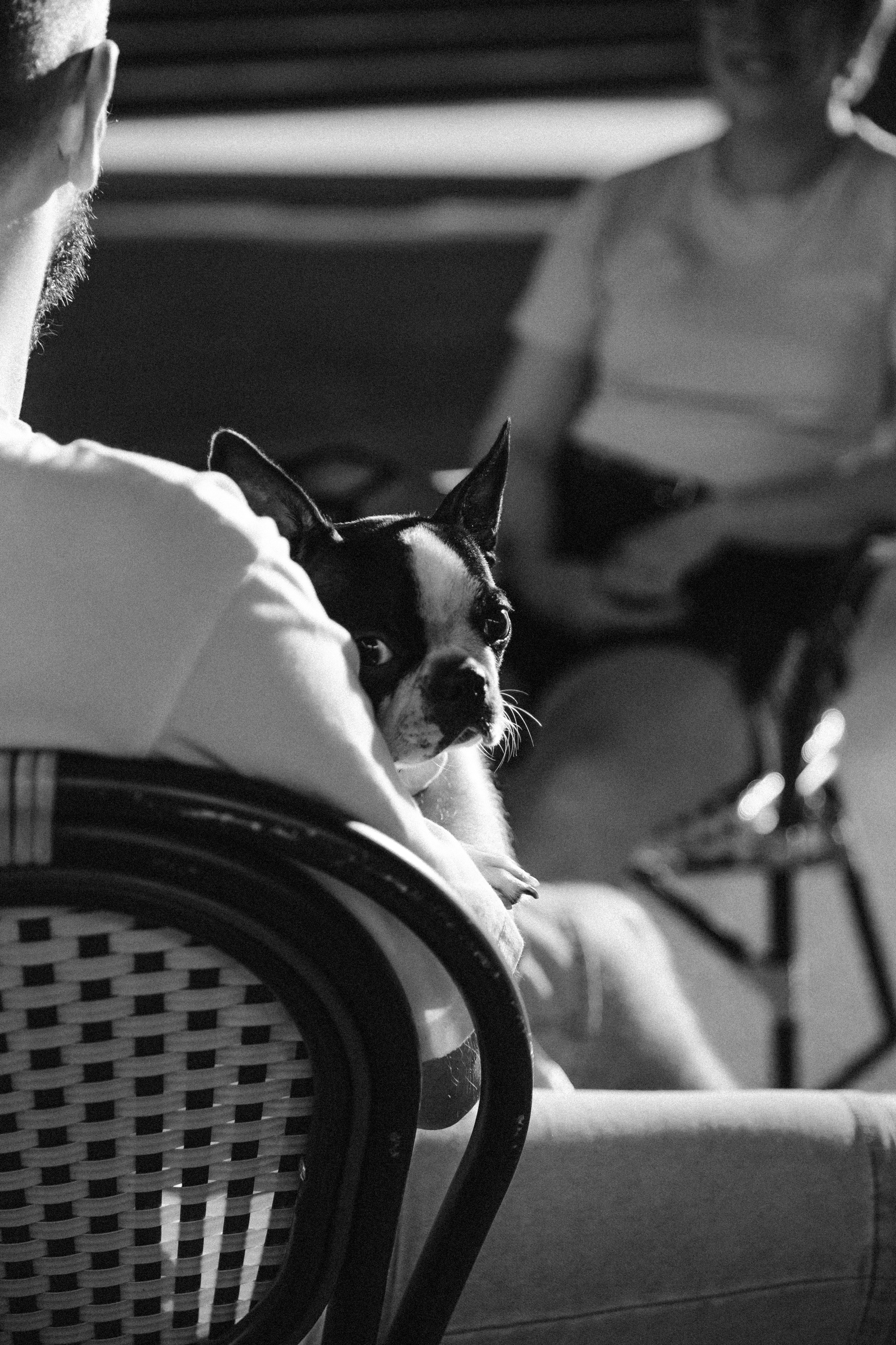 Polina, Dima & Roxy. Photographer in Los Angeles. Julia Ishmuratova