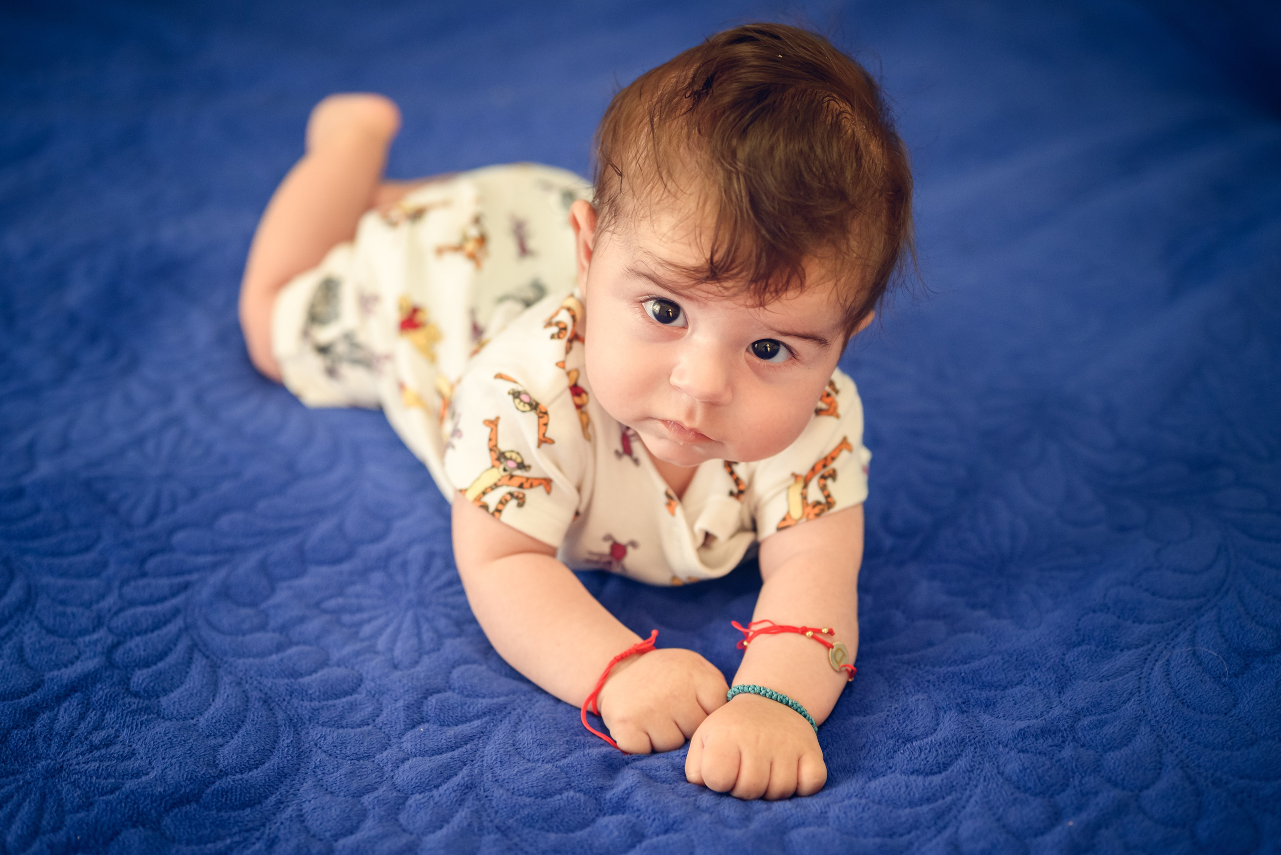Botez David Stefanut (2026)