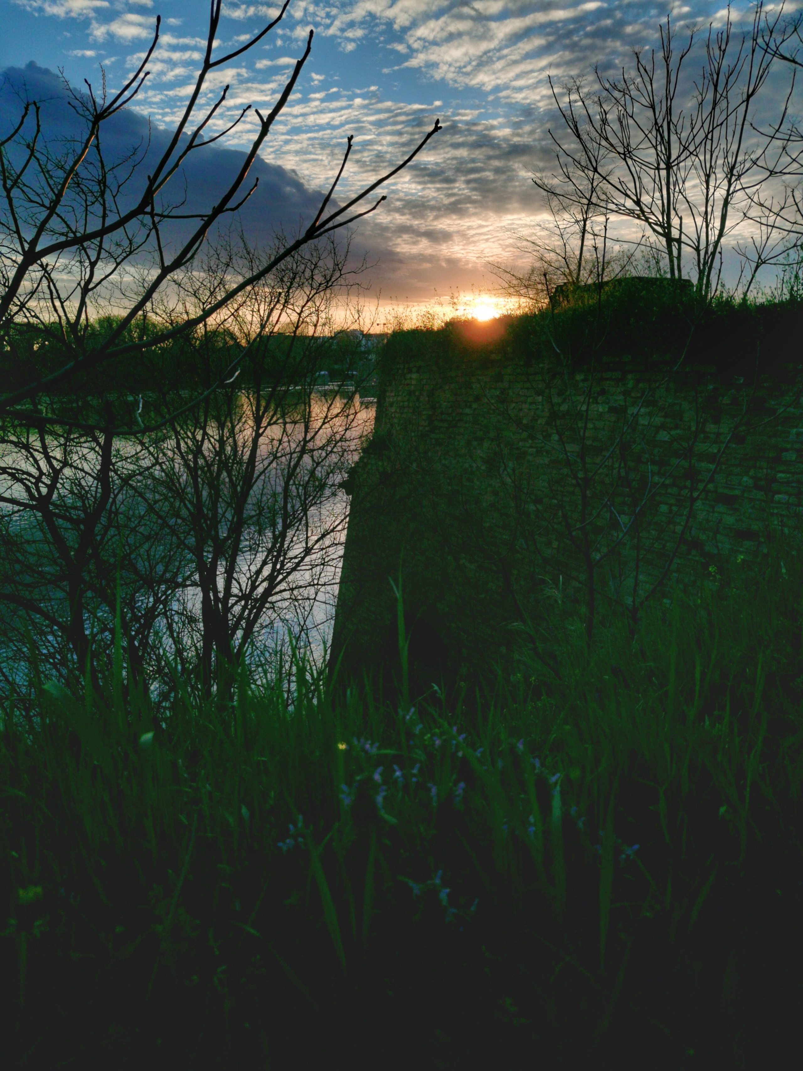 Петроварадин - галерија на продају. Викторија Федосеенко, фотограф у Србији