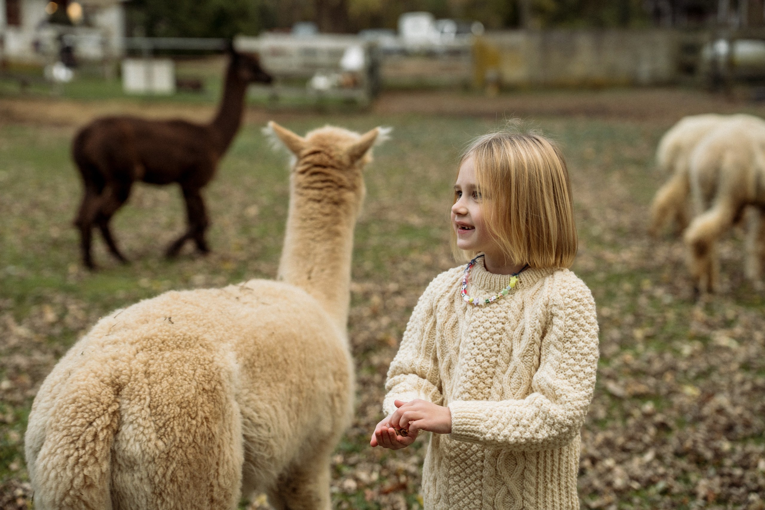Anna, Stephen, Maribel and Maya. Alisa Tant — Family and newborn photographer Bucks County, Montgomery county, Philadelphia, NJ