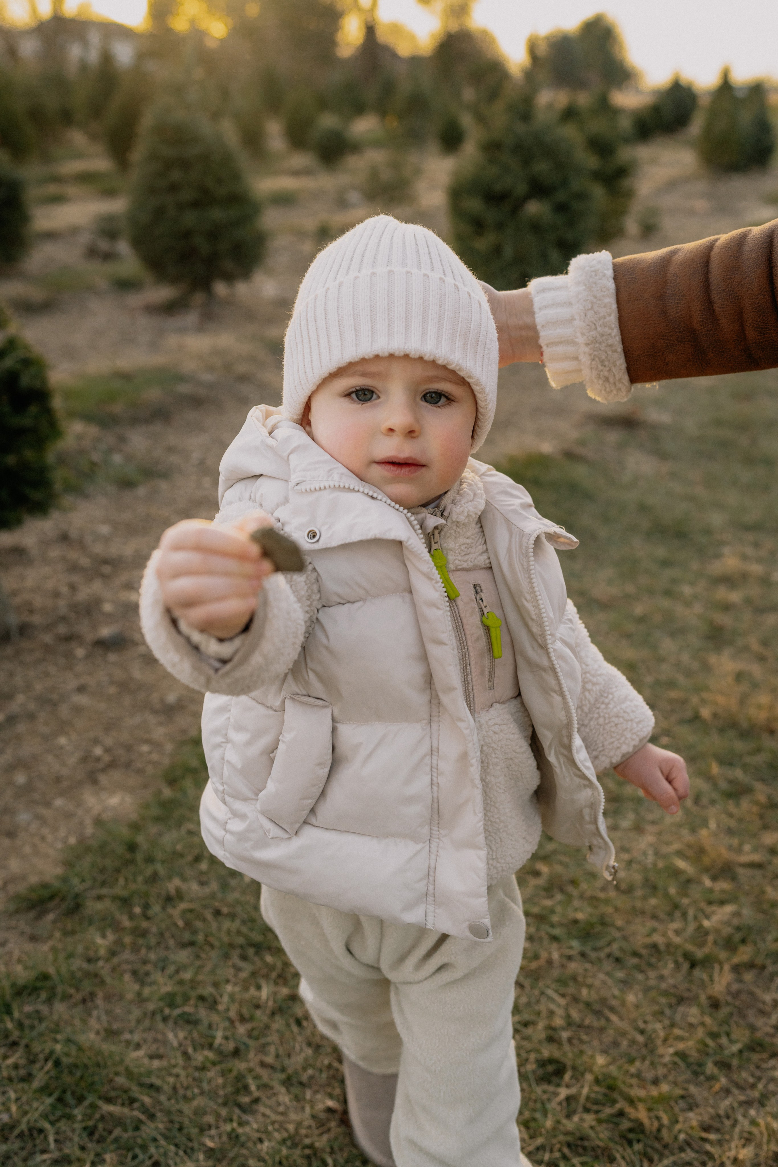 Christmas Farm Photography – Festive & Cozy Memories. Alisa Tant — Family and newborn photographer Bucks County, Montgomery county, Philadelphia, NJ