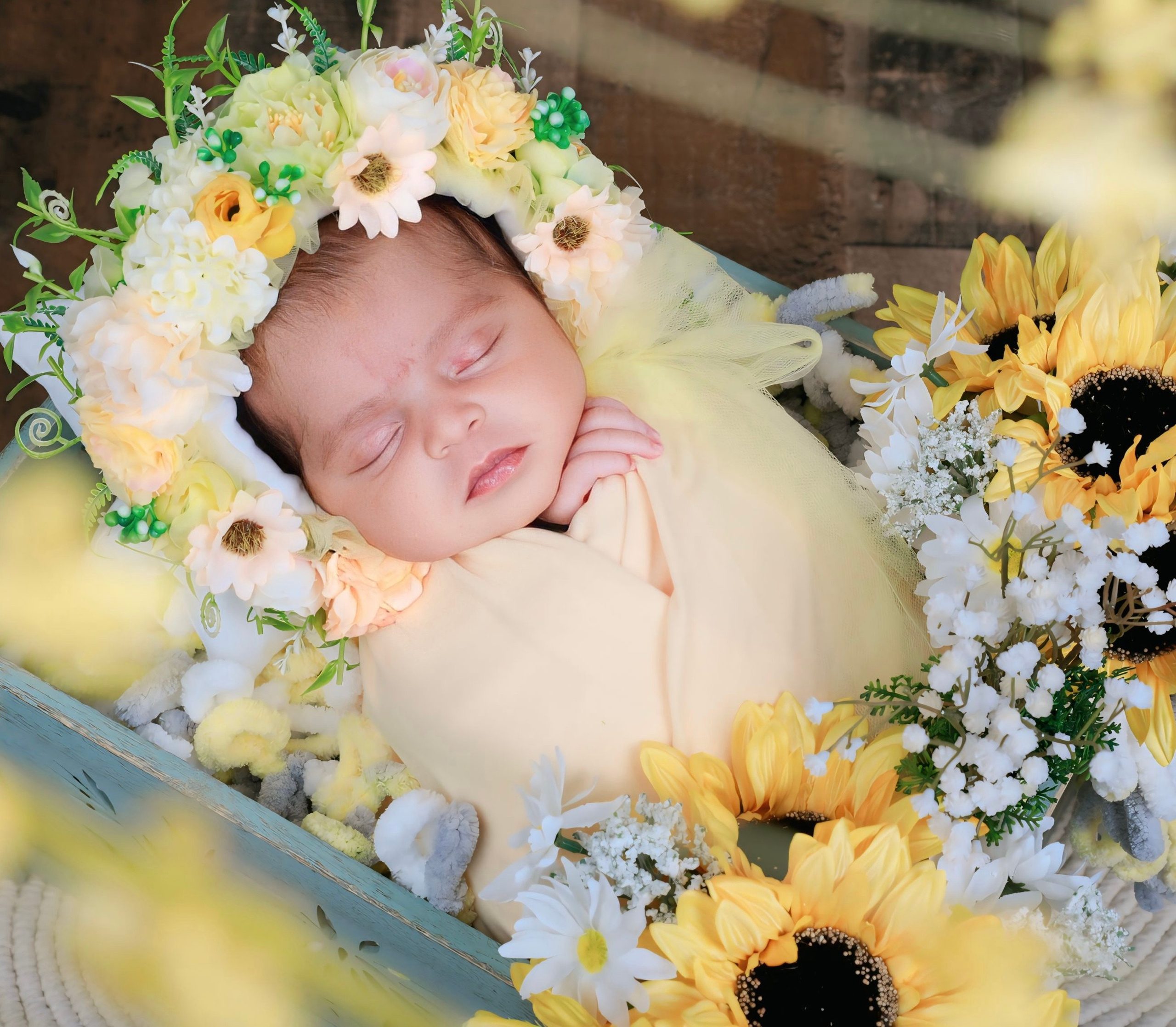 Pricing. AP Lens Photography | Newborn, Maternity, Milestone & Family Photographer Little Elm TX