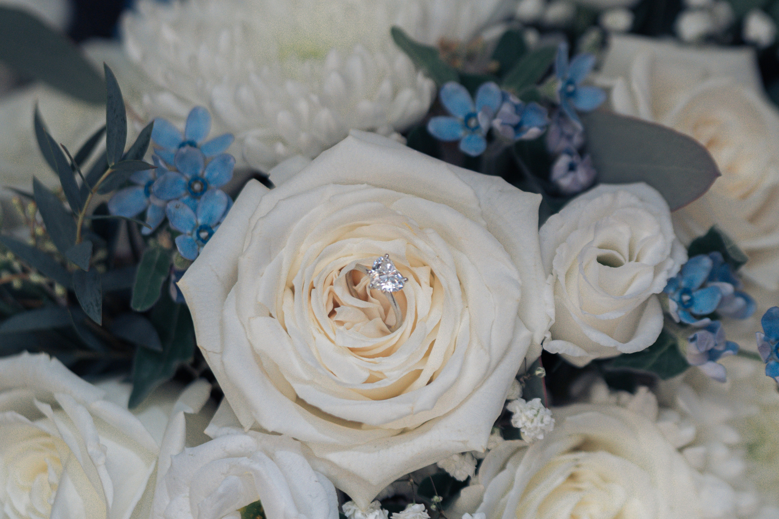 Tiffany&Kevin. Madhurina photography