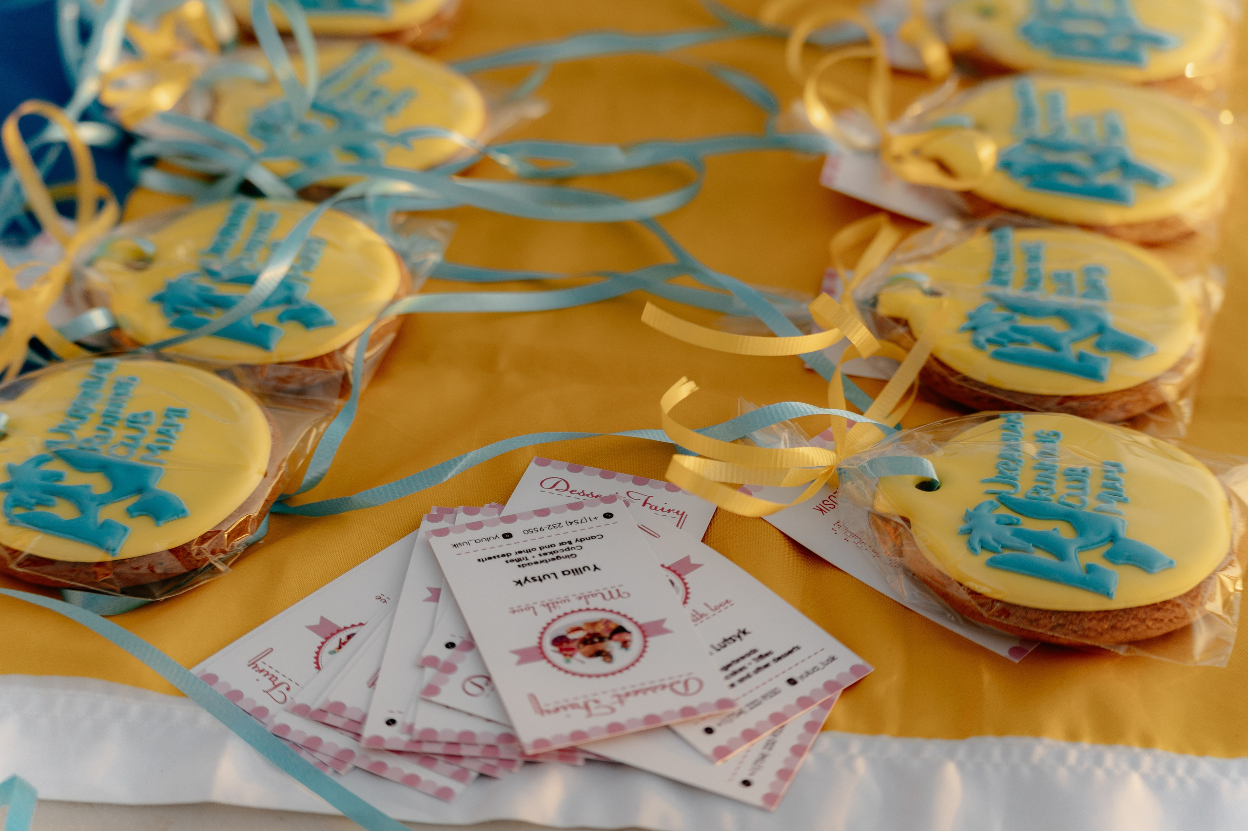 VYSHYVANKA RUN. ФОТОГРАФ ФЛОРИДА МАЙАМИ