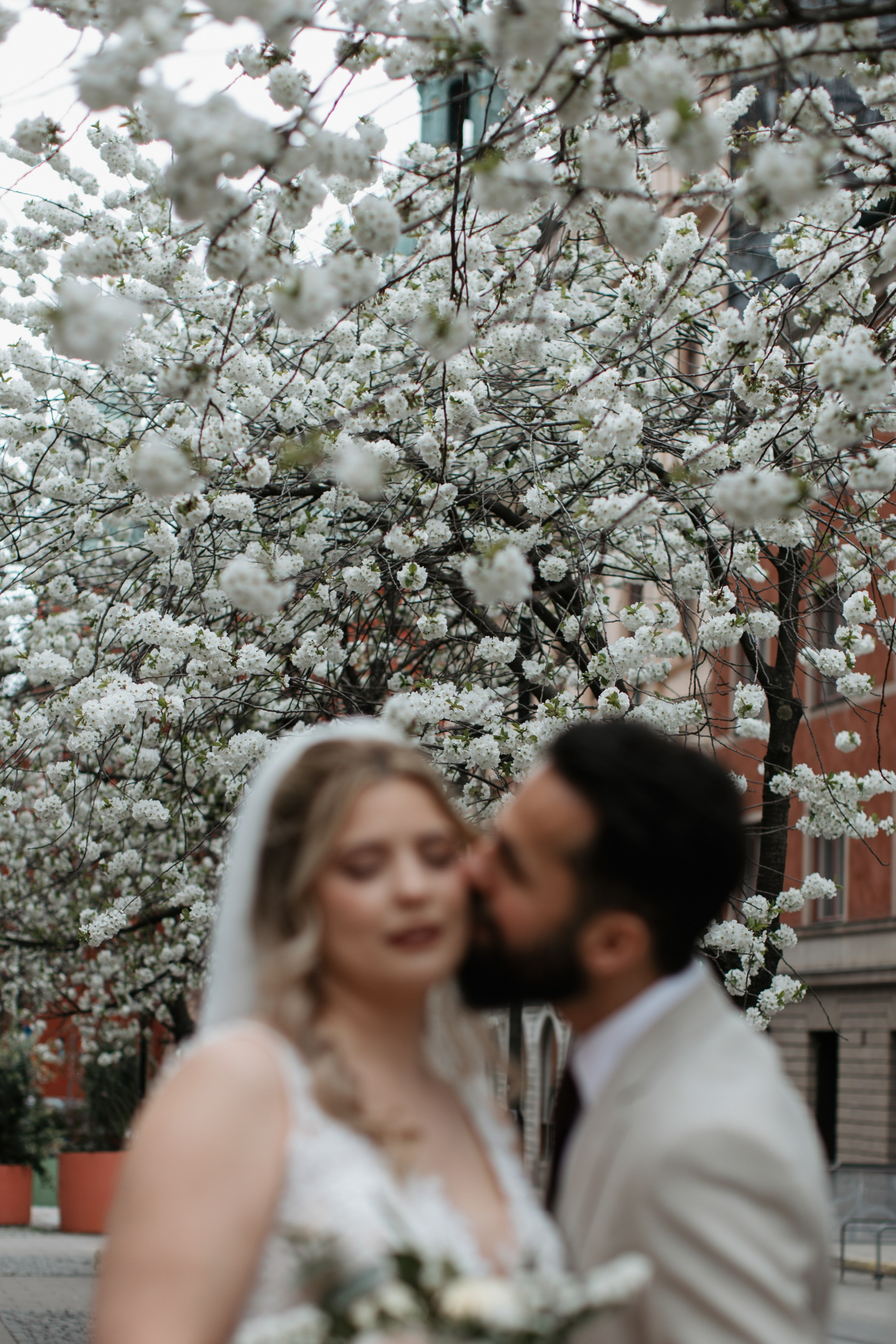 Weddings. Destination Wedding photographer in Sharm el Sheikh, Egypt