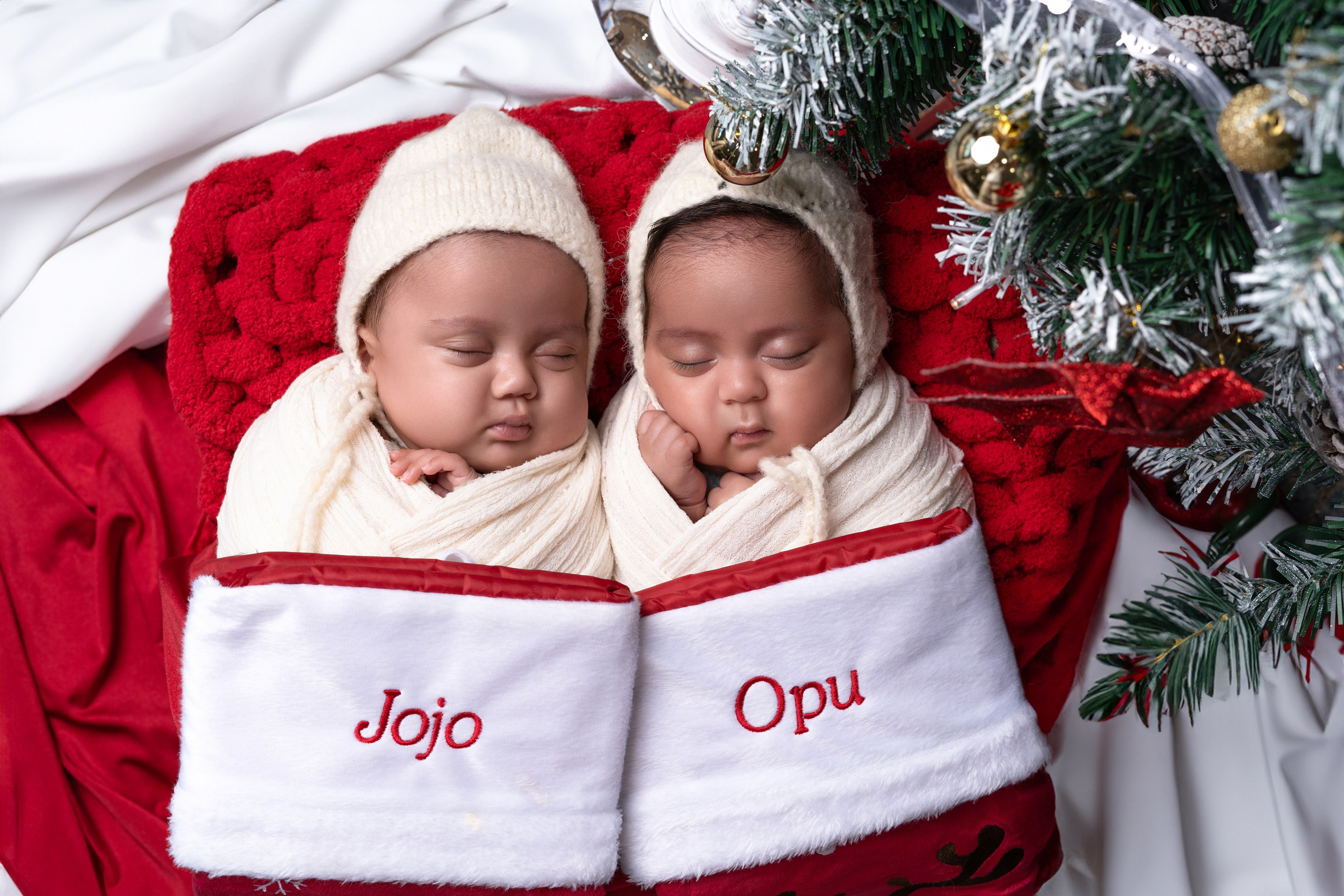 Newborn. Julia Bolgov Photography | Newborn, Family, Maternity & Milestone Photographer in Bay Area, CA