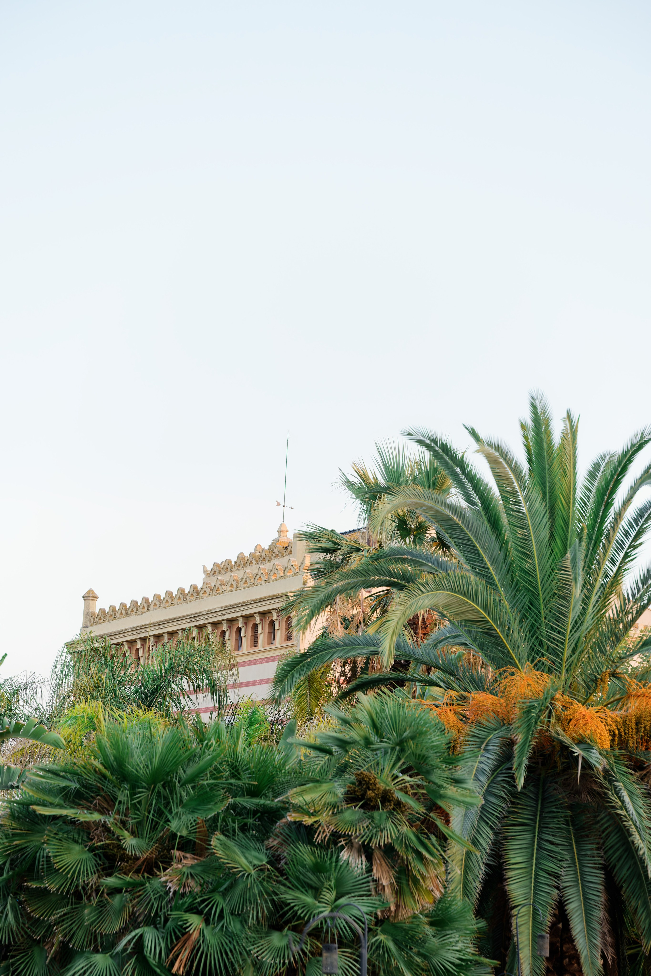 Indian wedding at Gran Villa Rosa, Barcelona