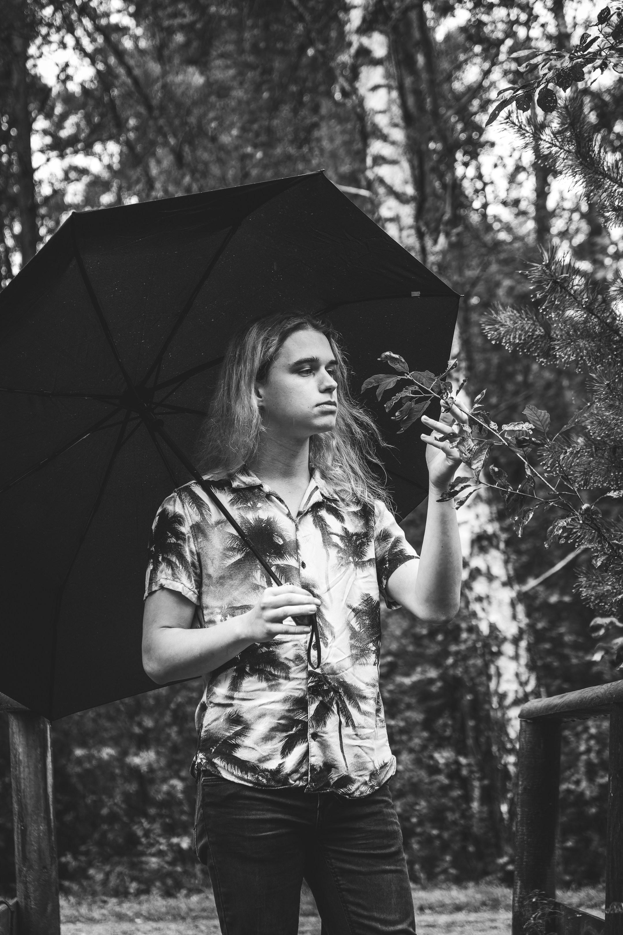 Mets, vihm ja jahedus (Dimitry). Nebula 25 — Fotod teie hingele