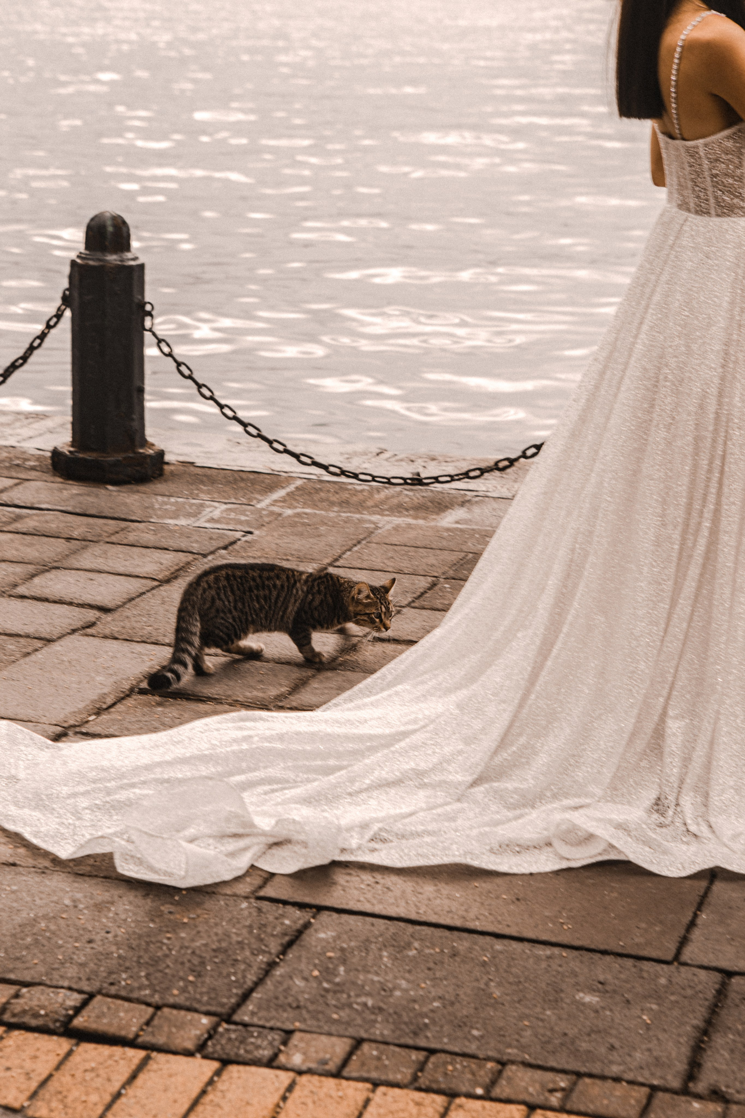 Weronika I Karol. Fotograf Warszawa, Fotograf ślubny, Фотограф свадебный Варшава