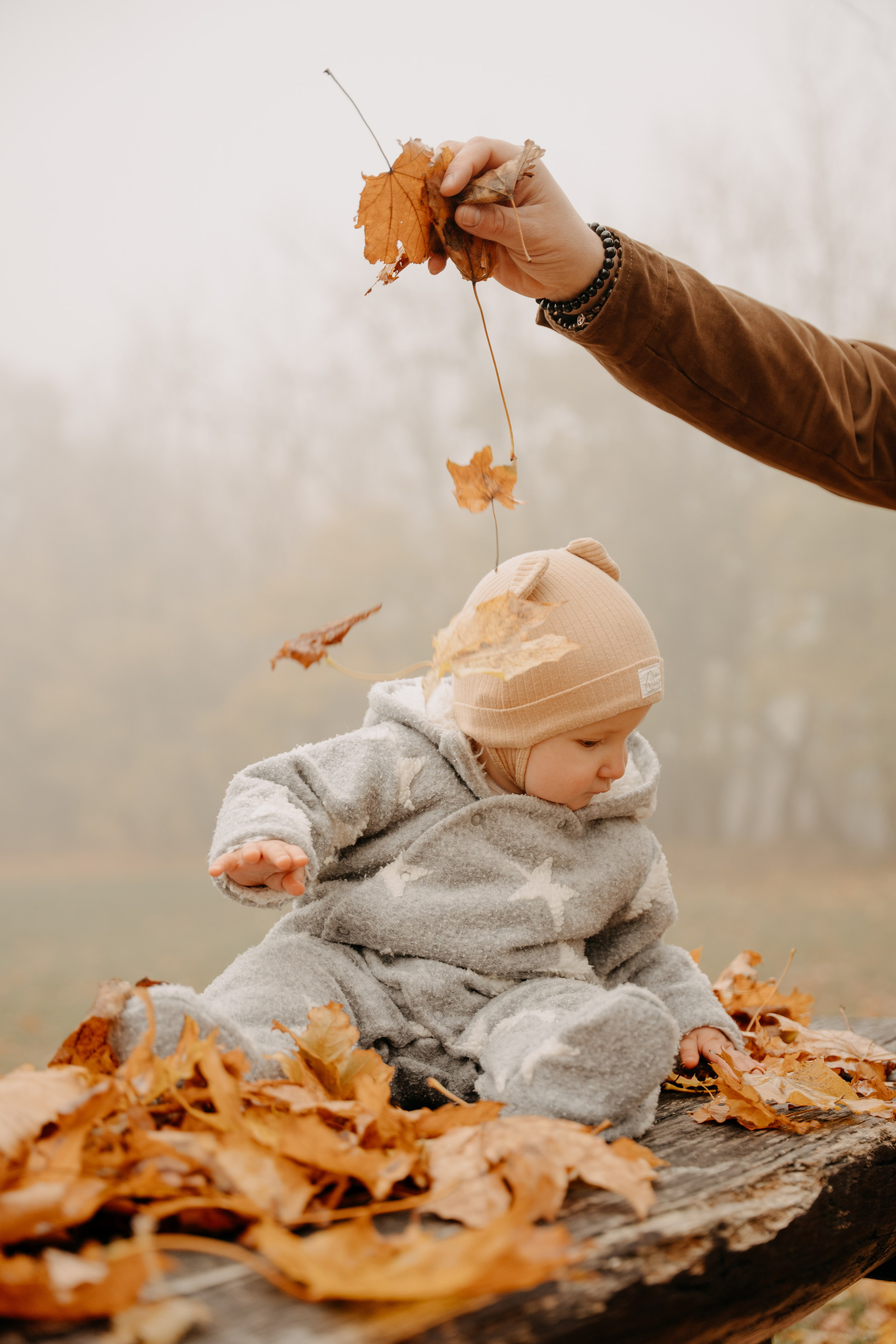 Bendegúz a ködös Normafán. Csilla visuals