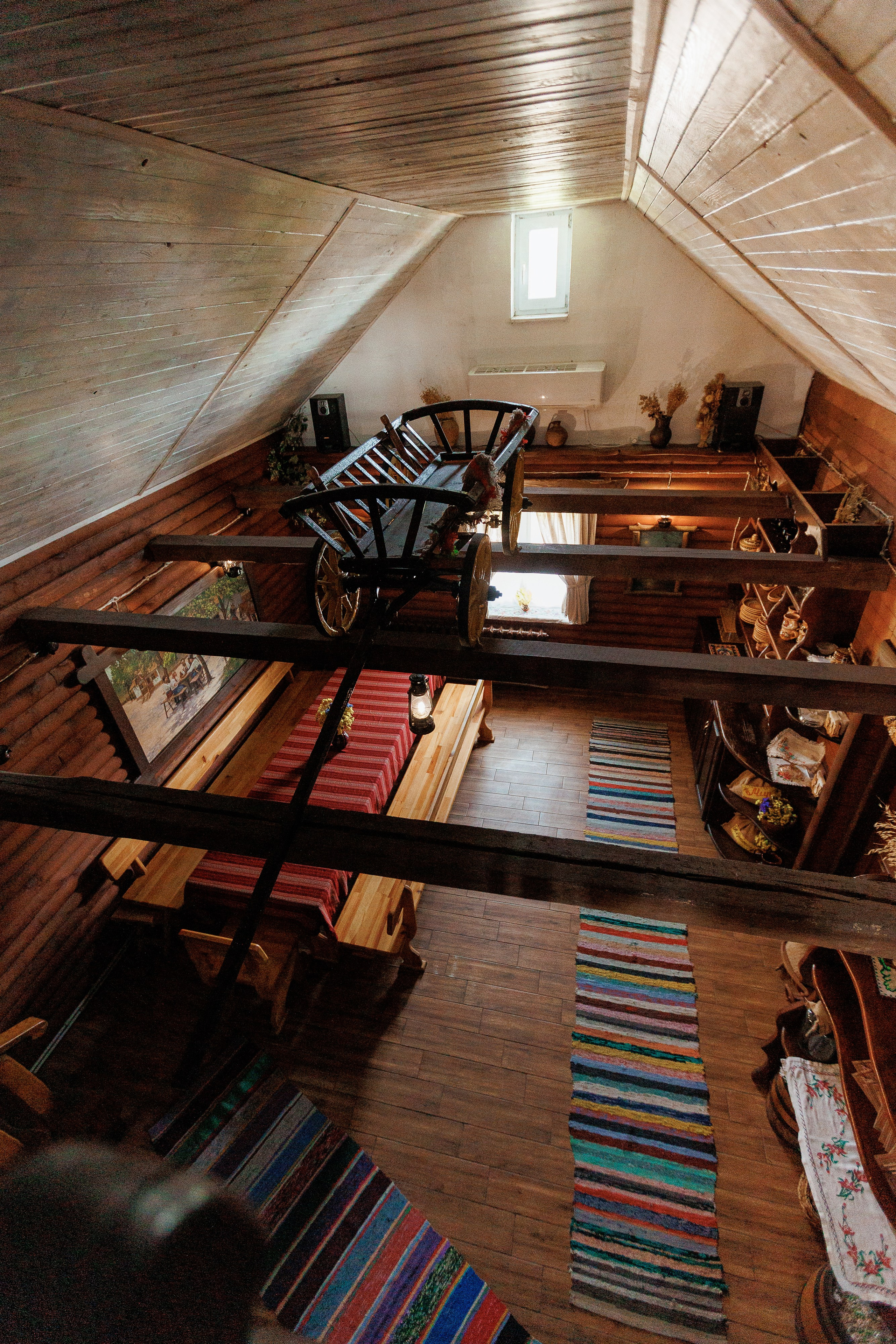 Екопарк Аміла. Ірина Терещук