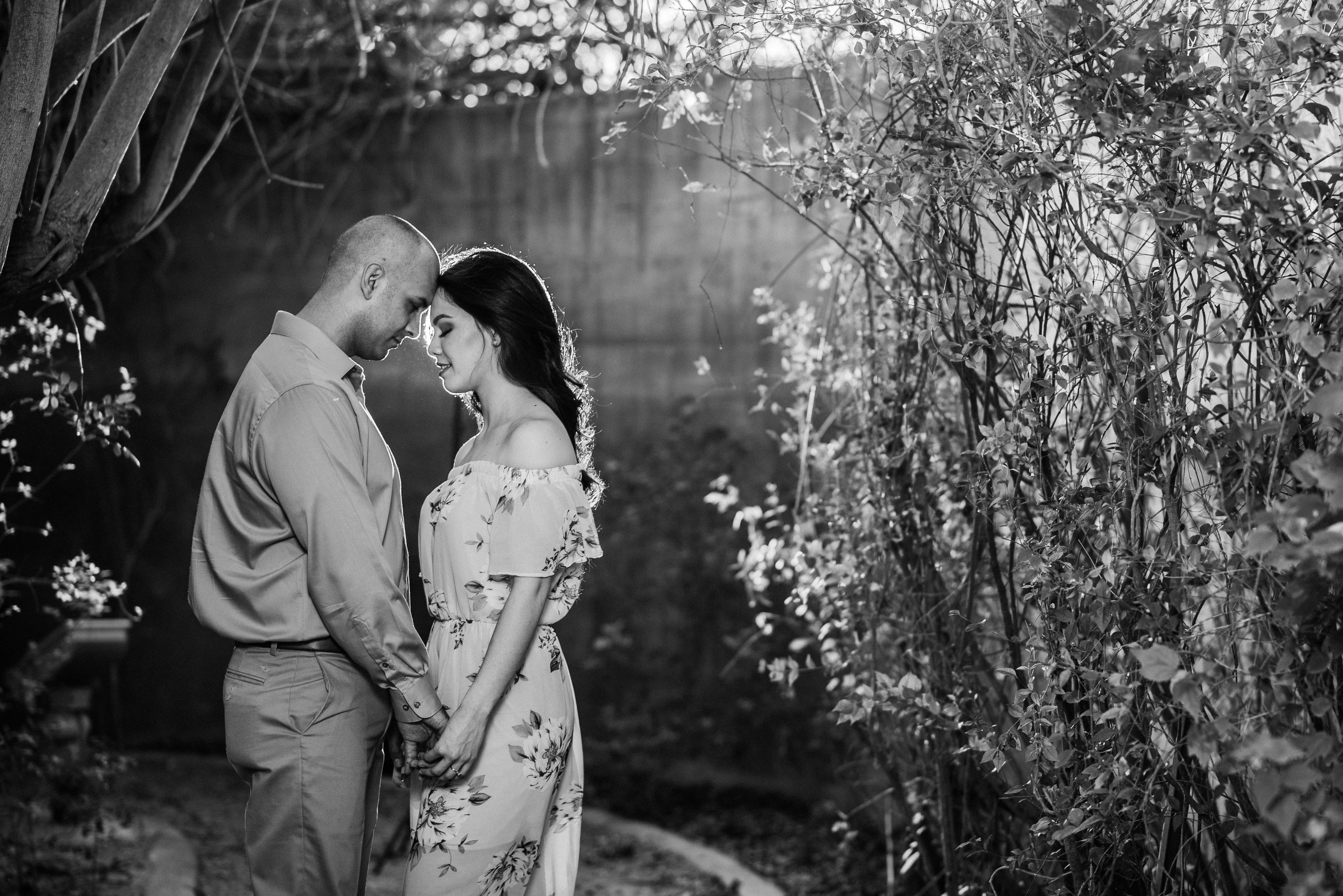 Ale y Mario Pre-boda. Miguelsalasfoto