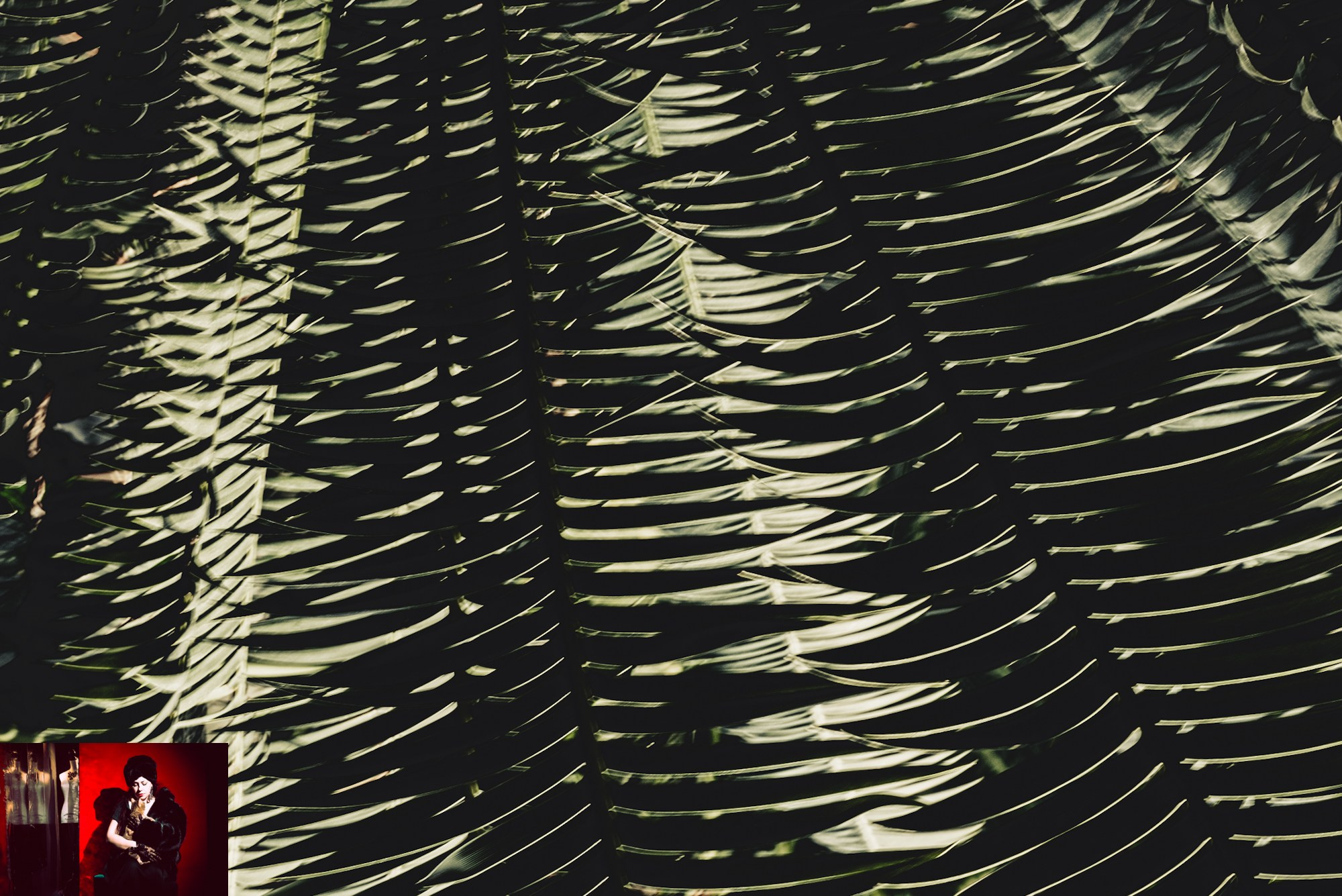 Portraits of Park Residents. Ekaterina Tsurkina-Appina Photography Canada