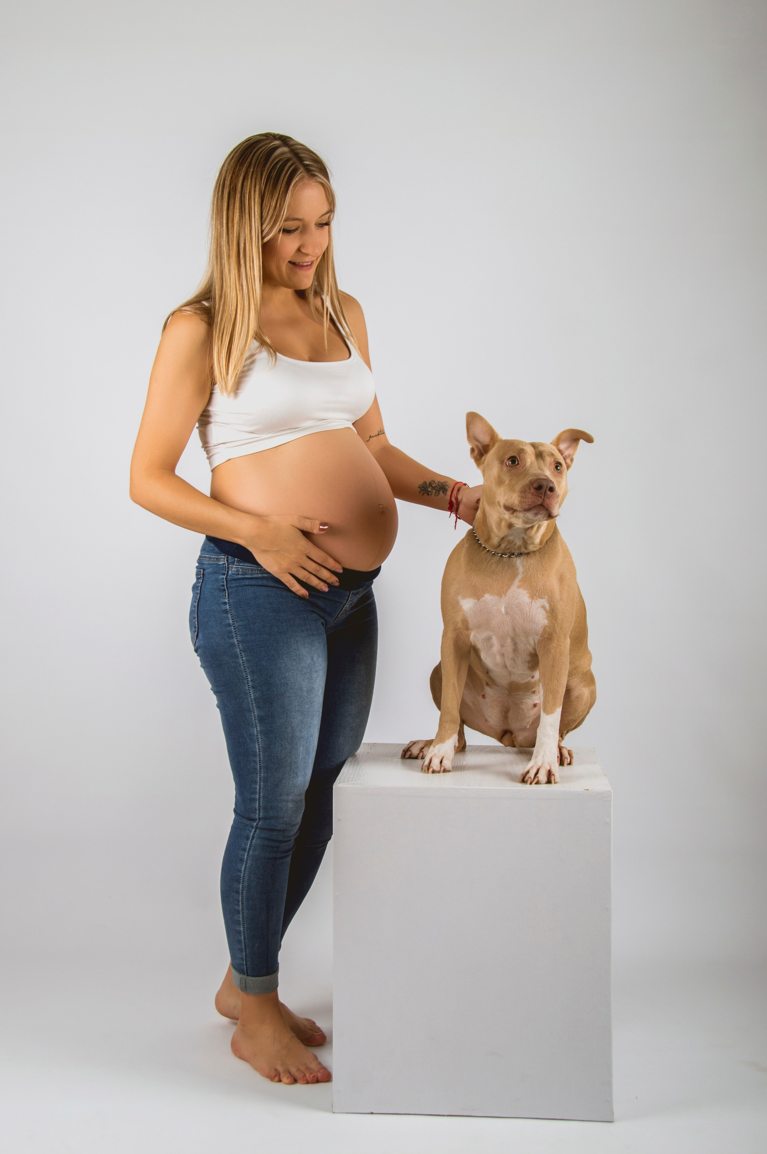 Coral. Fotografía Antonio Luis Bascón