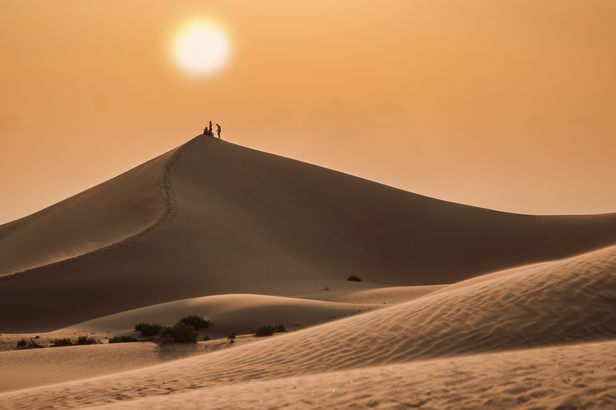 Nature photography. Creative shooting. Photographer in UAE. Desert in Abu Dhabi