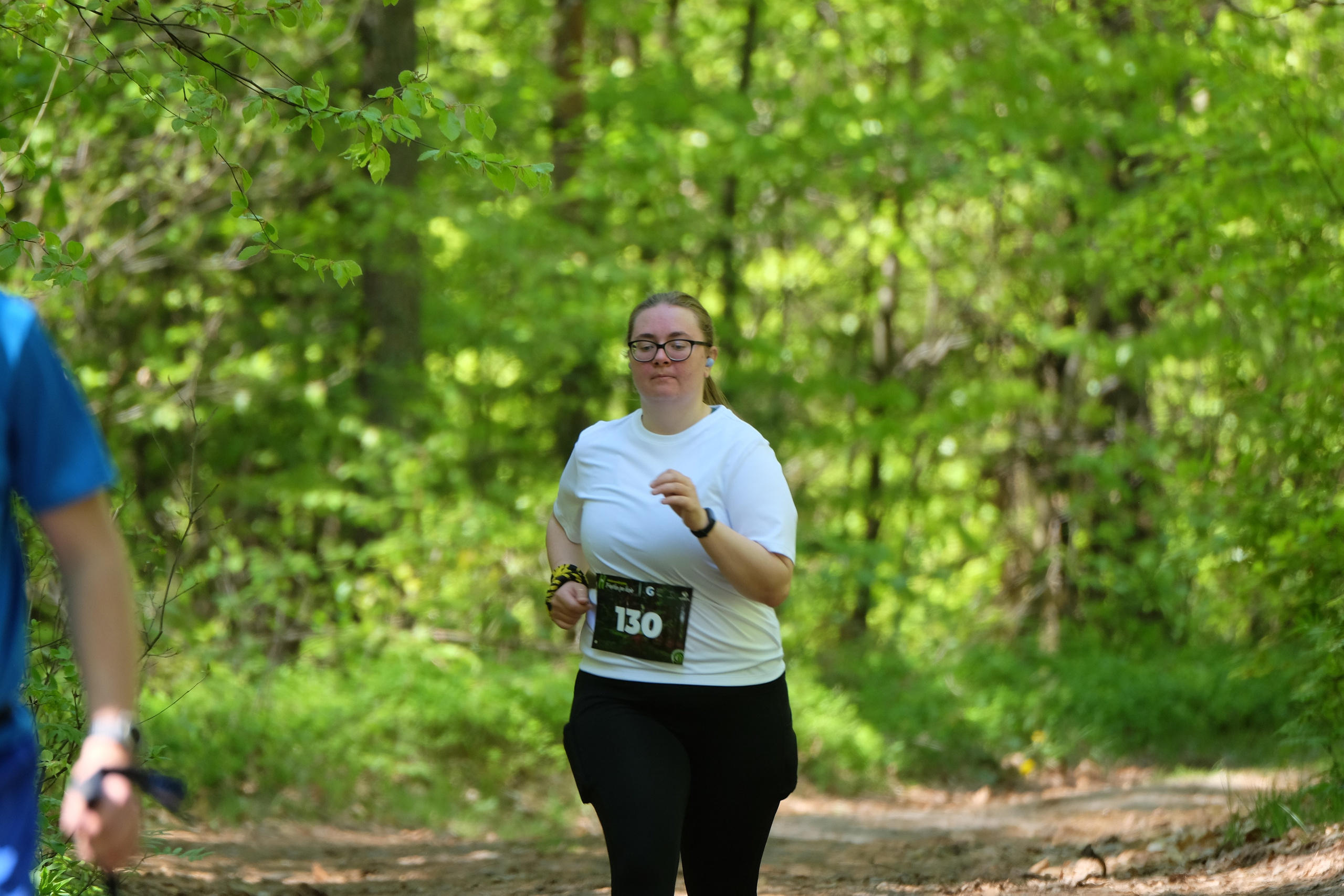 Aleksandryjska Piątka po lesie. Main