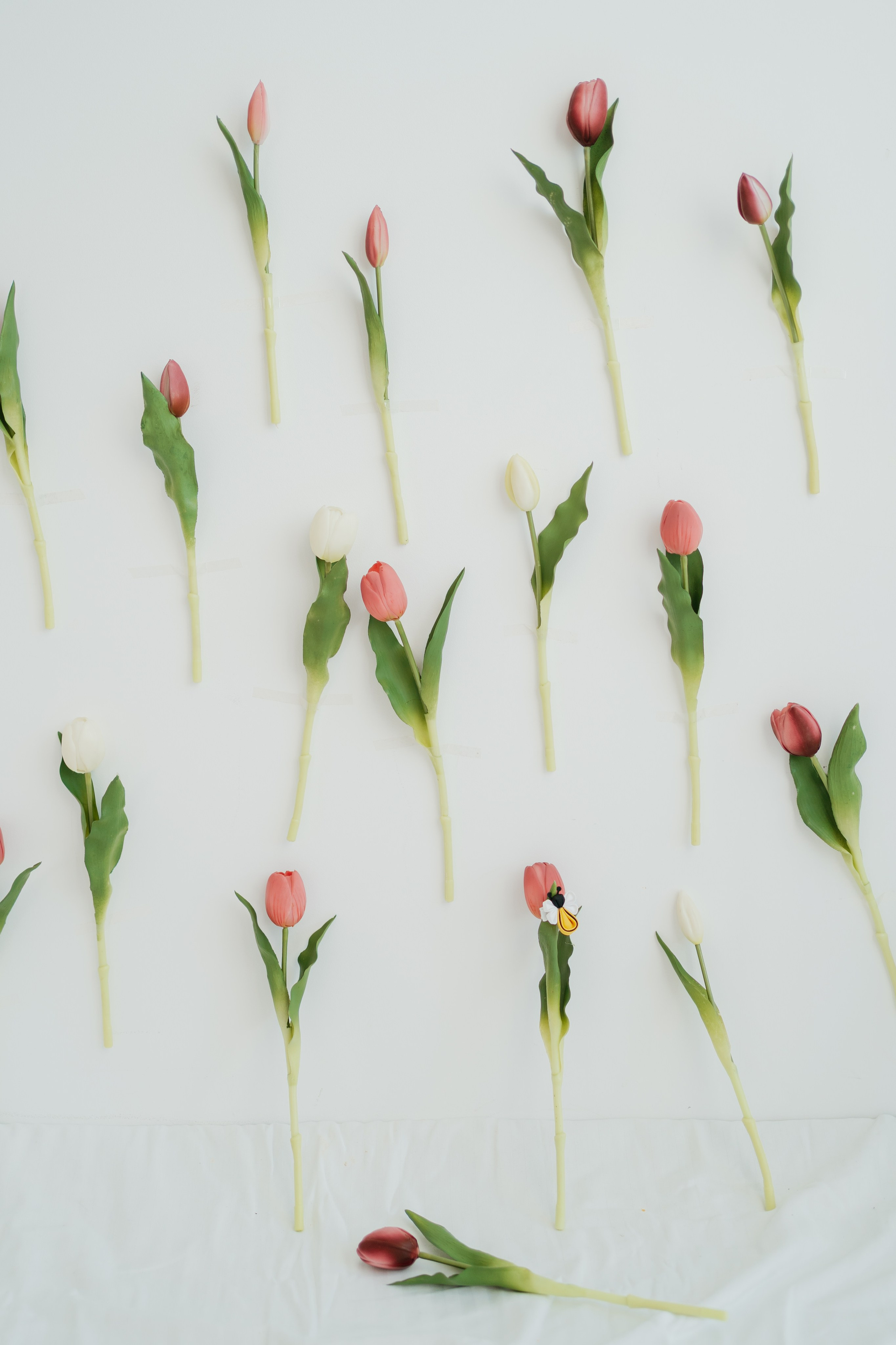 SPRING SESSION. Ars Vidi | Digital Solutions