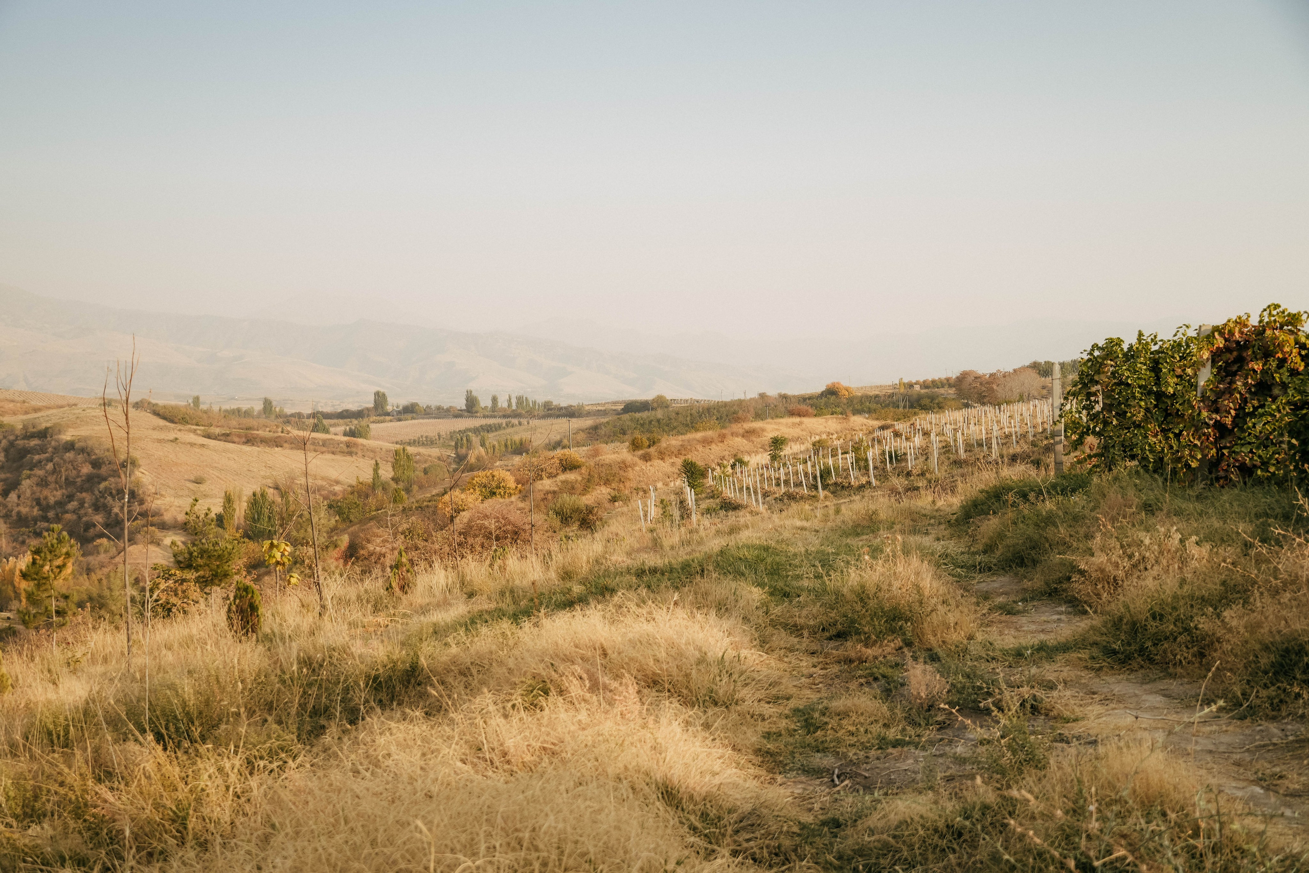 Sony workshop. Портретный фотограф Нигинахон Исматуллаева в Ташкенте