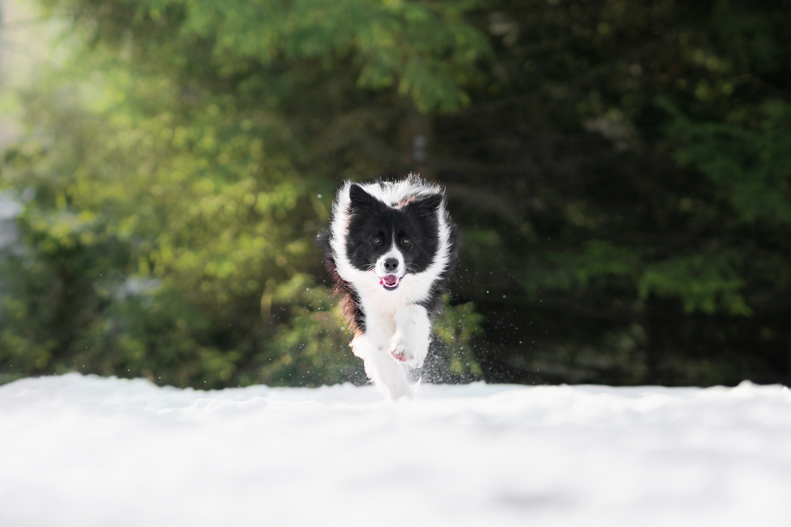 Gabija, Deka ir šaltas žiemos rytas. Vita Klimaševska ○ Fluffy Soulmate Photography