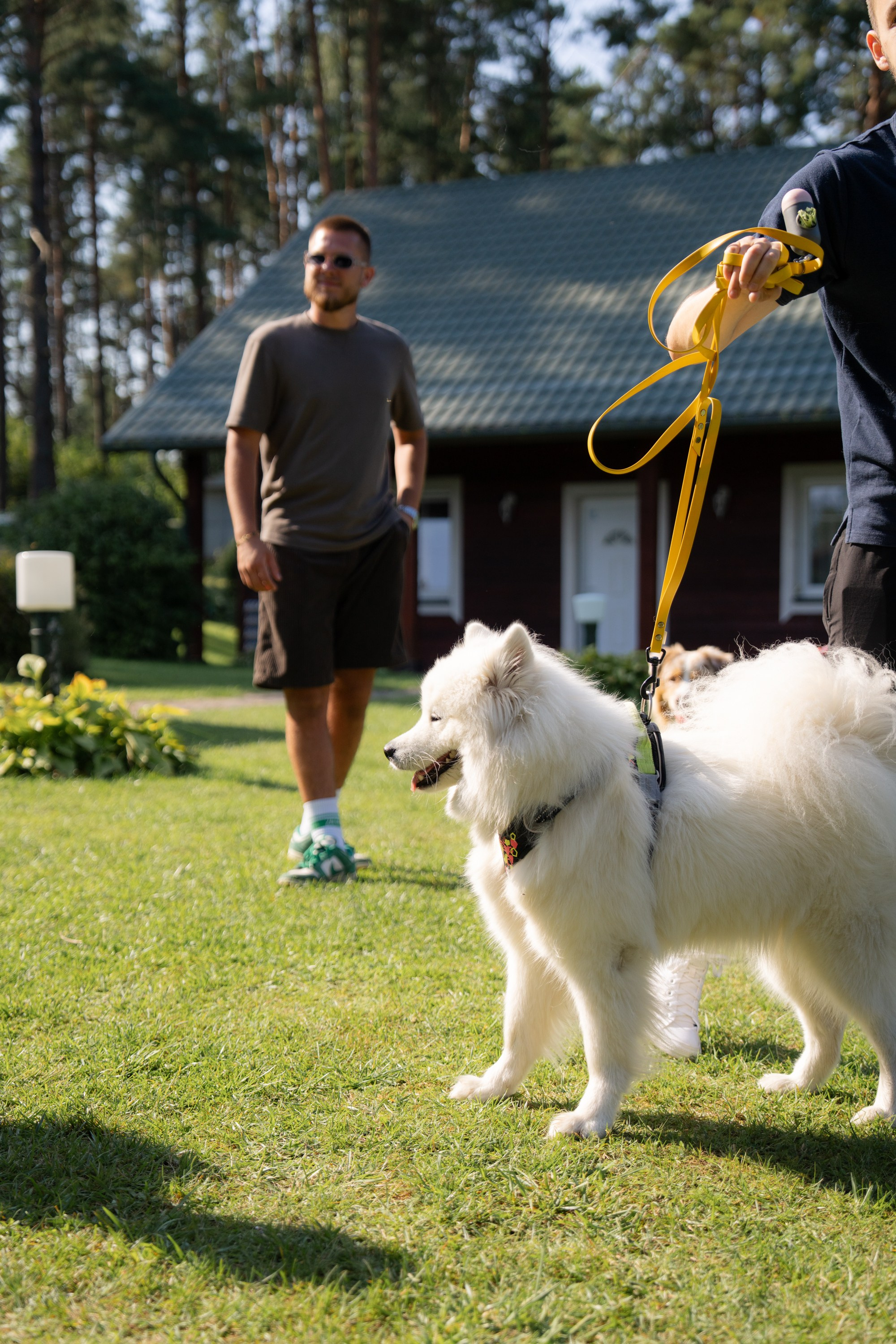Heppi Dogo fest 2025. Vita Klimaševska ○ Fluffy Soulmate Photography