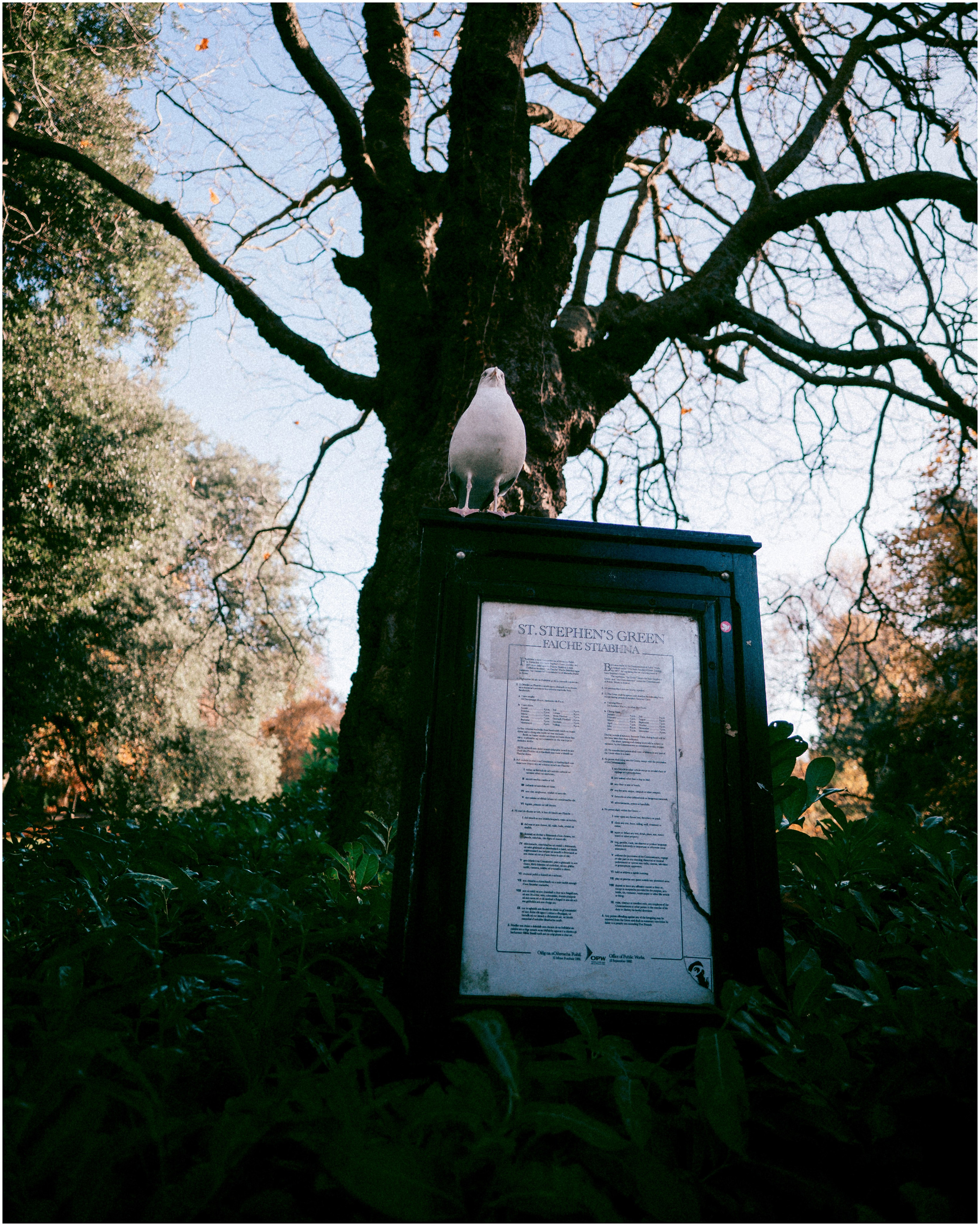 IRELAND. Inna Mendelson — Photographer