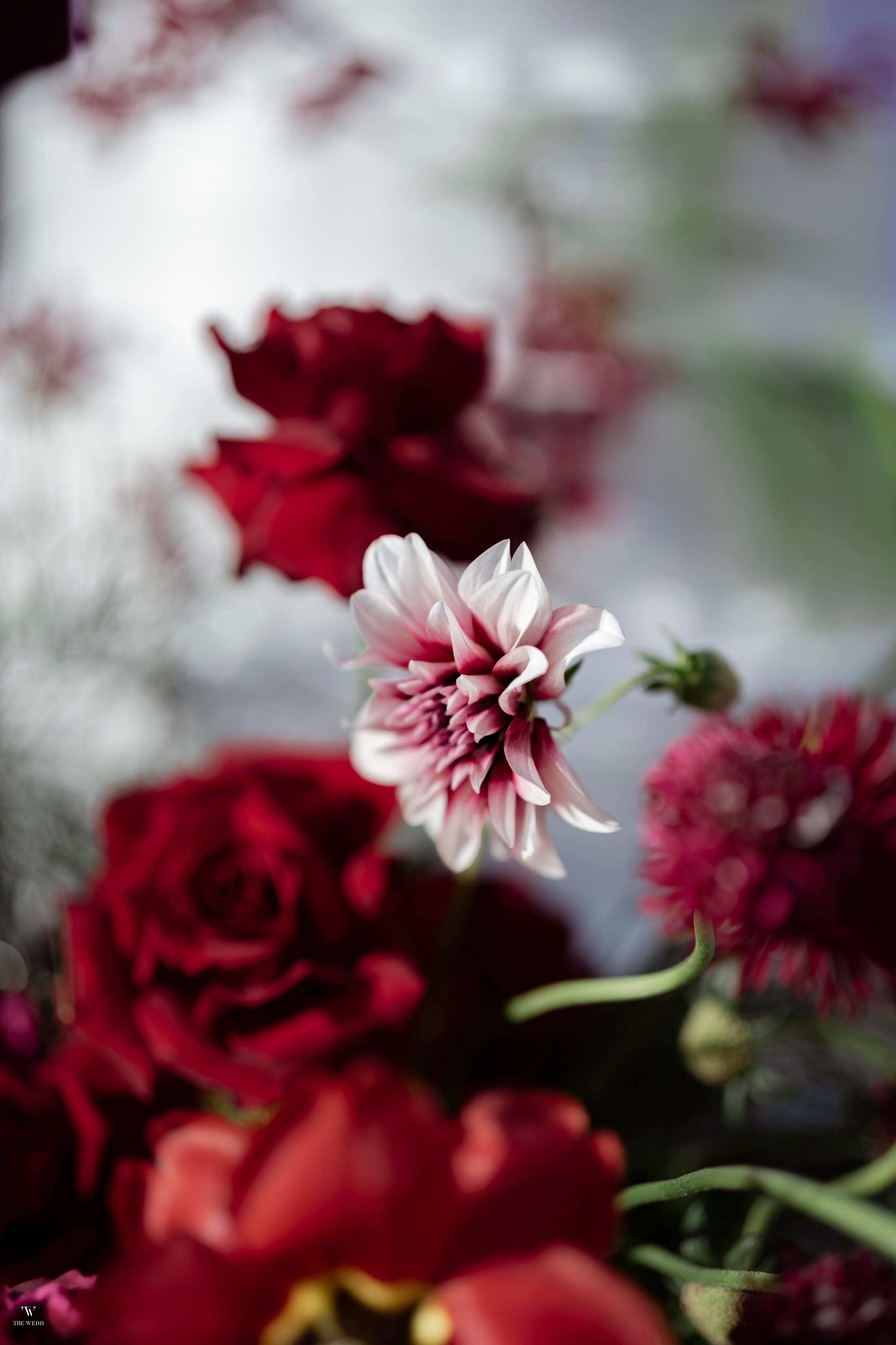 NGHIA & NGOC. WEDDING PHOTOGRAPHER IN VIETNAM