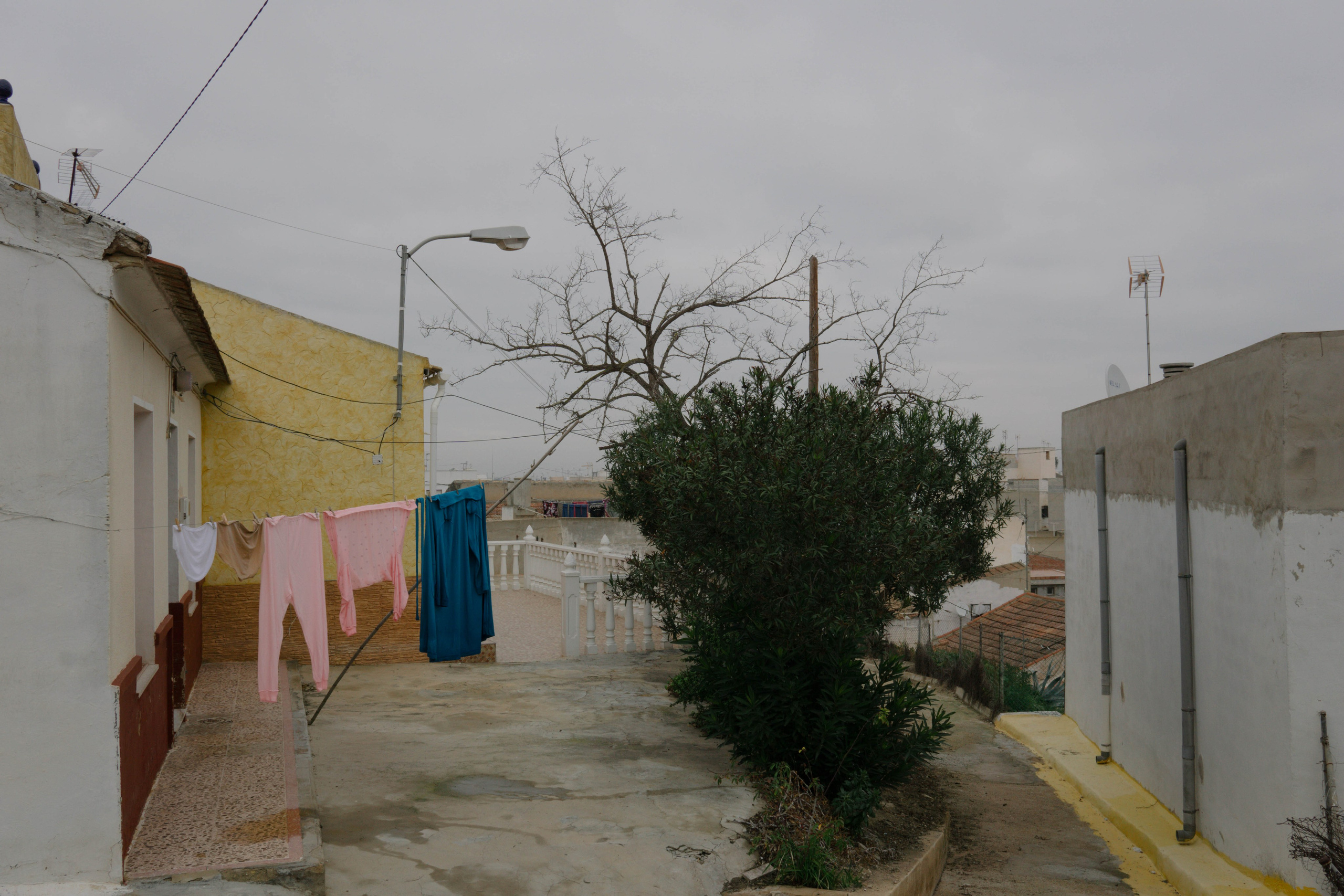 Rojales. Alba del Norte Studio