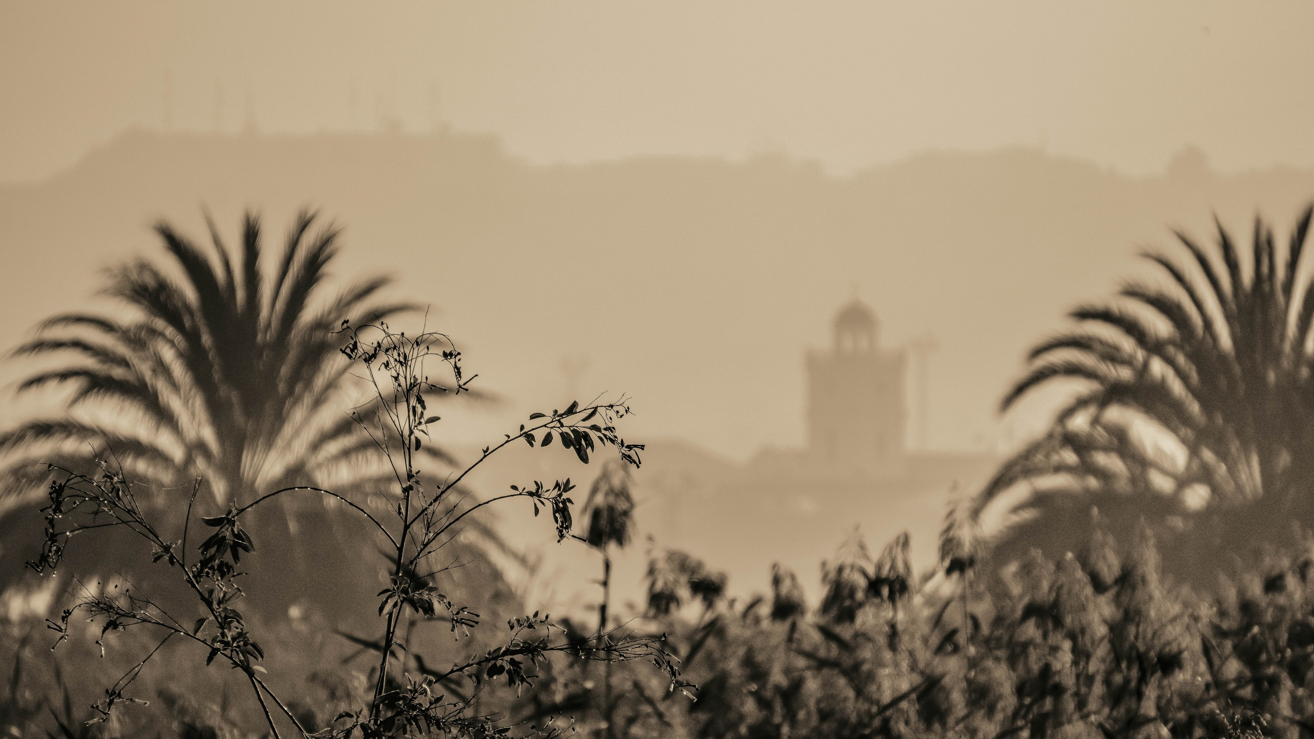 Rojales. Alba del Norte Studio