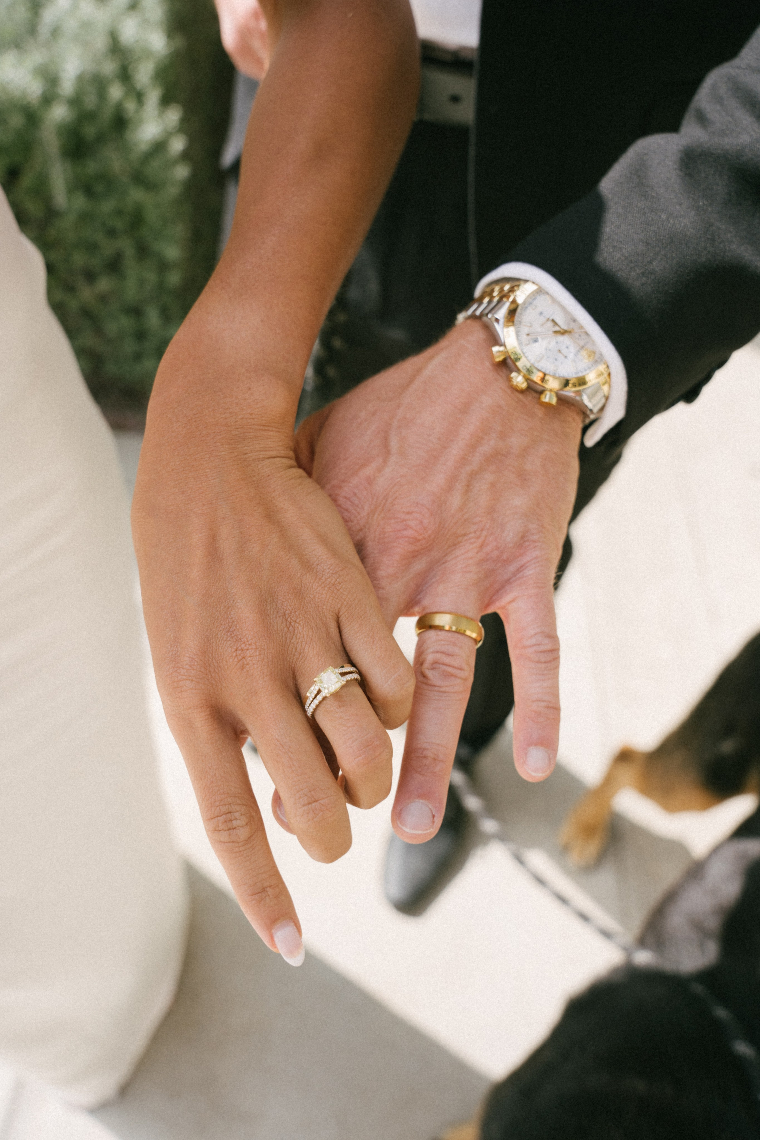 Beverly Hills Courthouse Wedding. Beverly Hill Elopement. Small Wedding in Beverly Hills