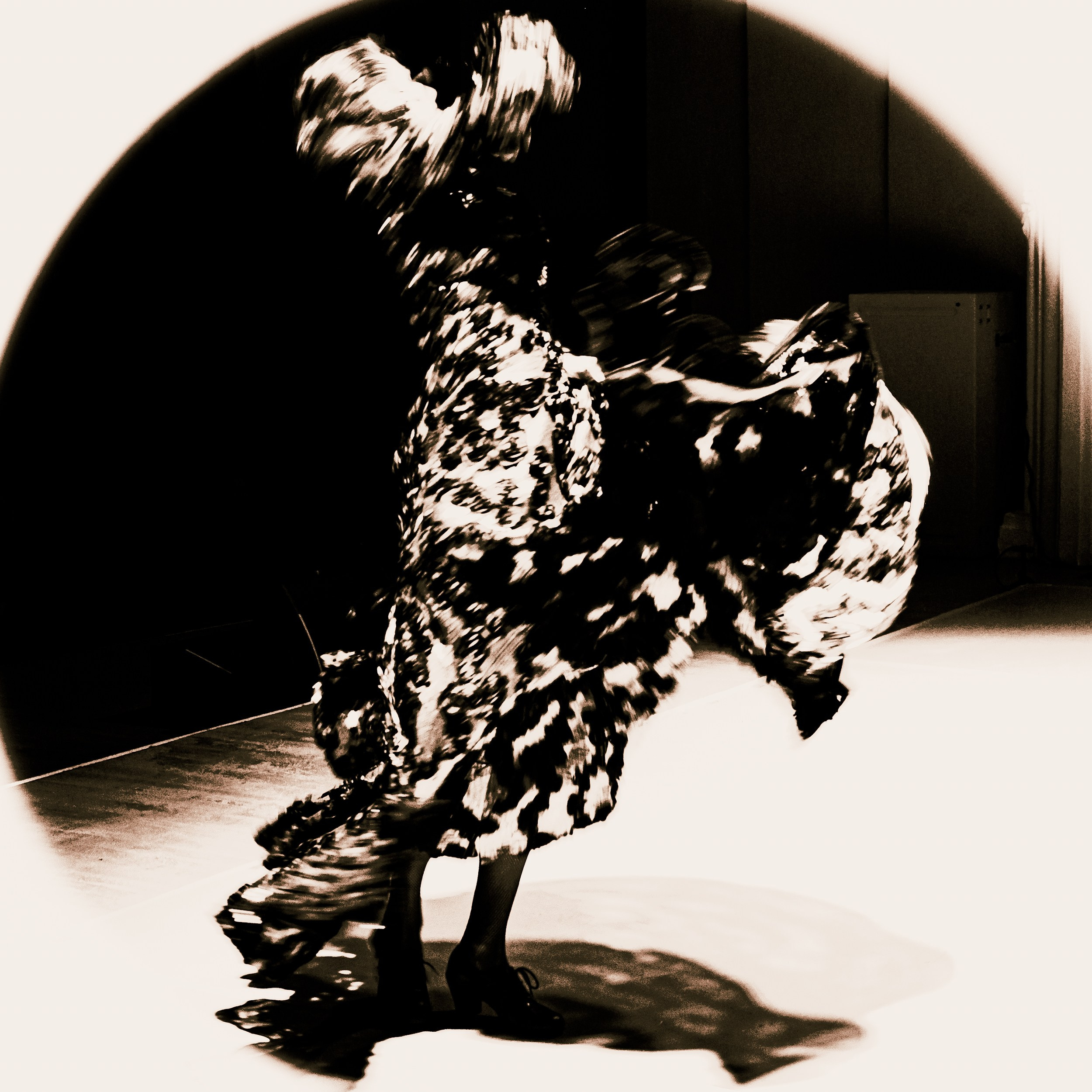 Flamenco spots. Ekaterina Tsurkina-Appina Photography Canada