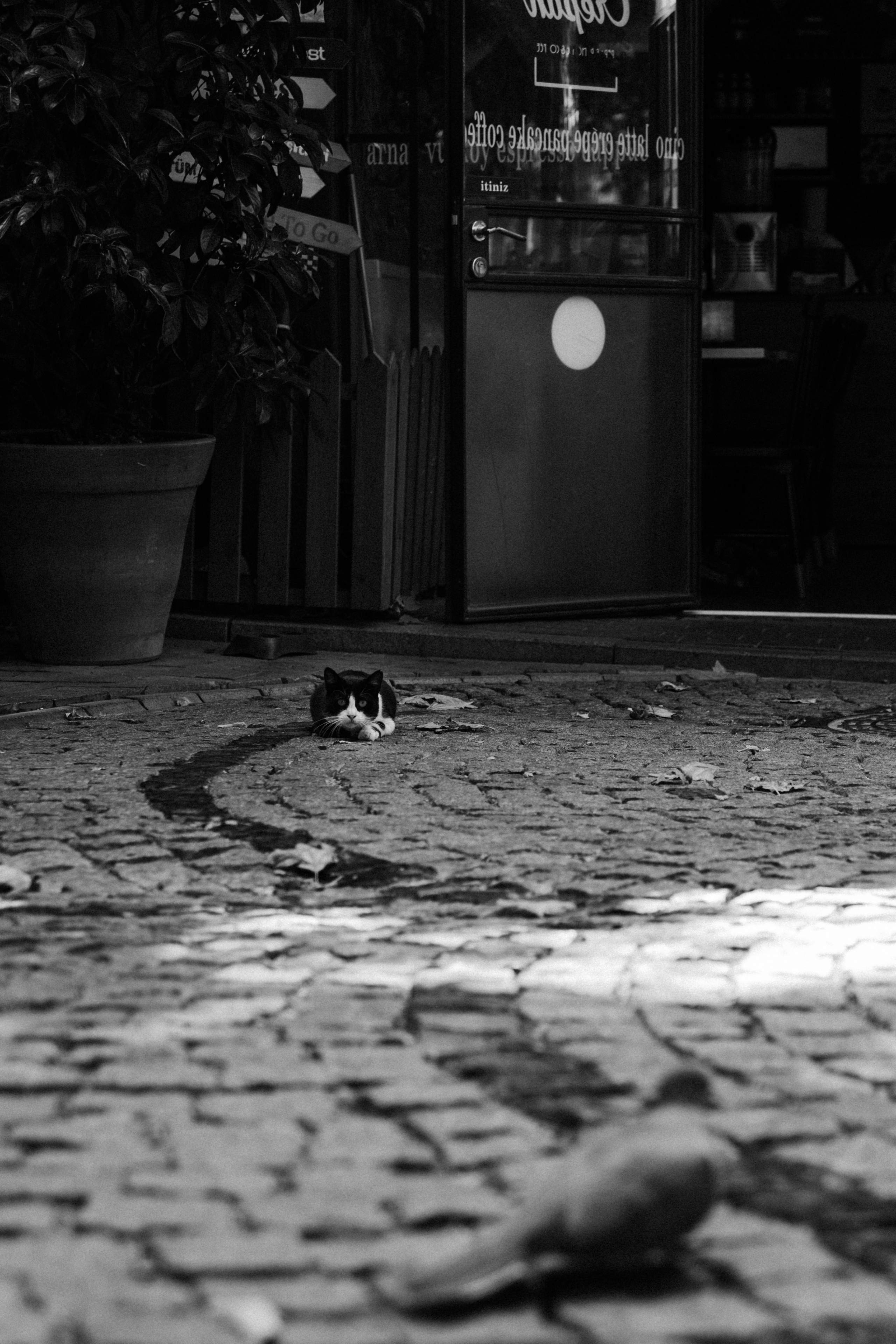 . Фотопрогулки в Стамбуле