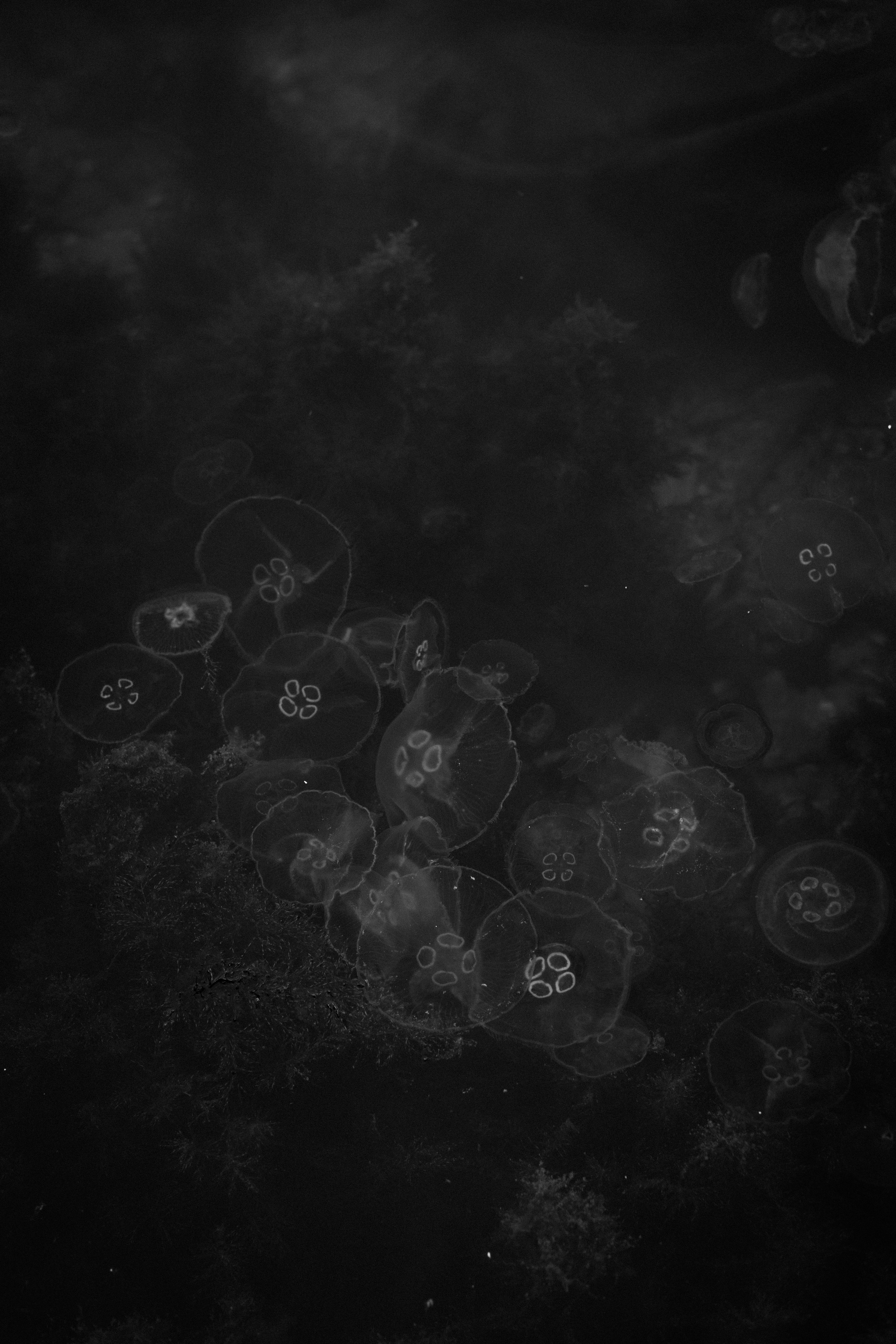 Стамбул. Фотопрогулки в Стамбуле