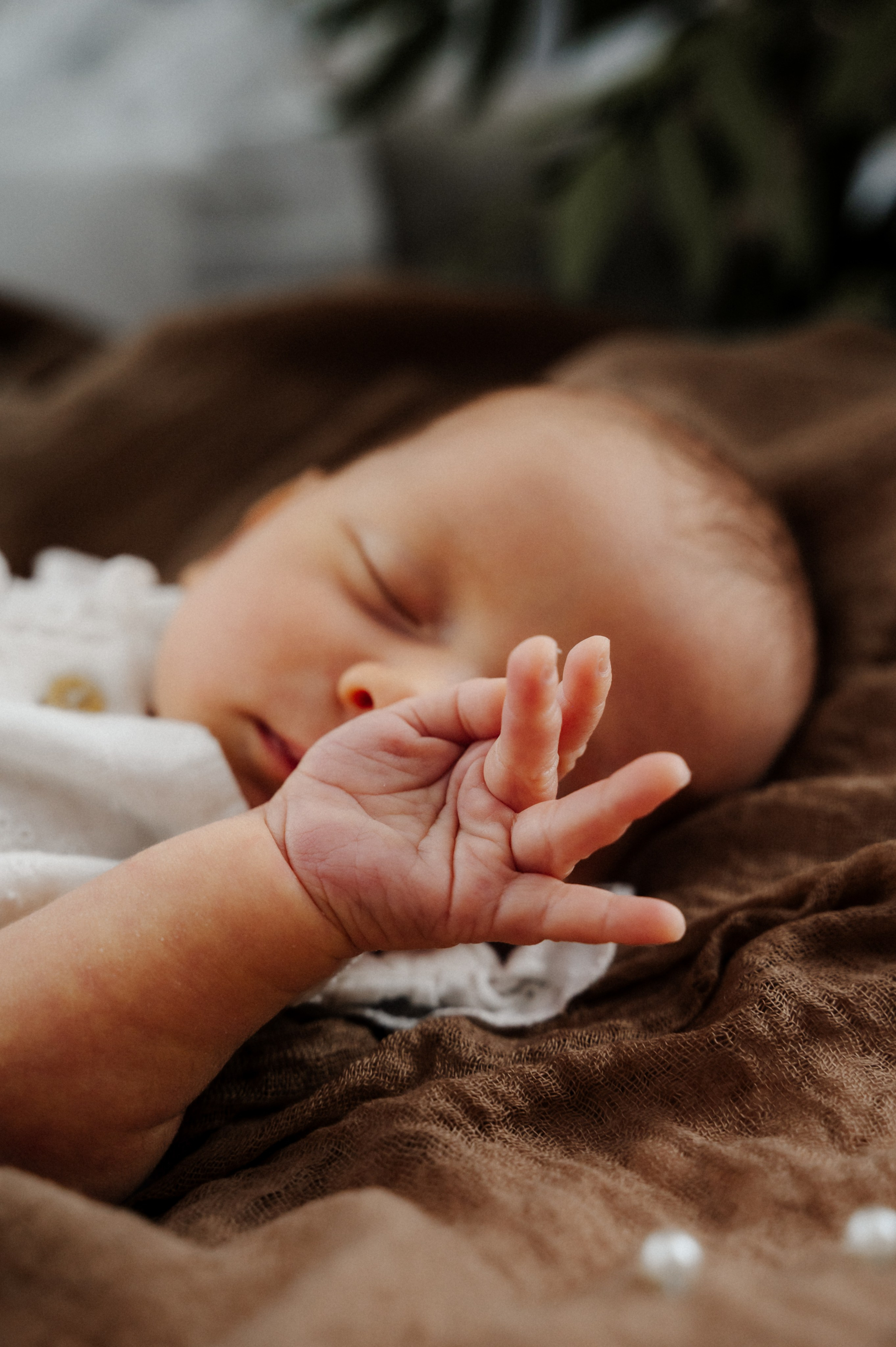 Newborn. Anastasia Kurbanov Photography