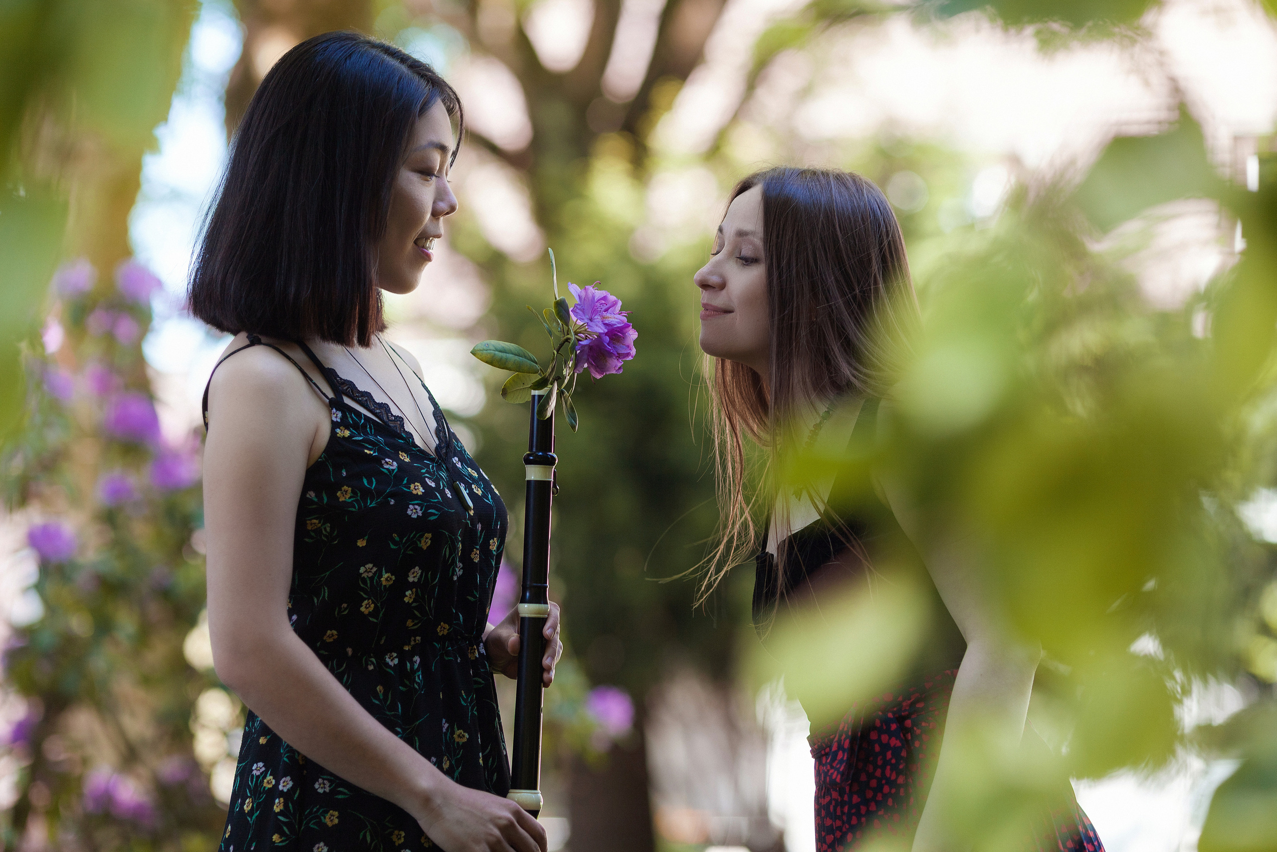 Duo Barokbird. Nadia Sarycheva Fotografin in Deutschland