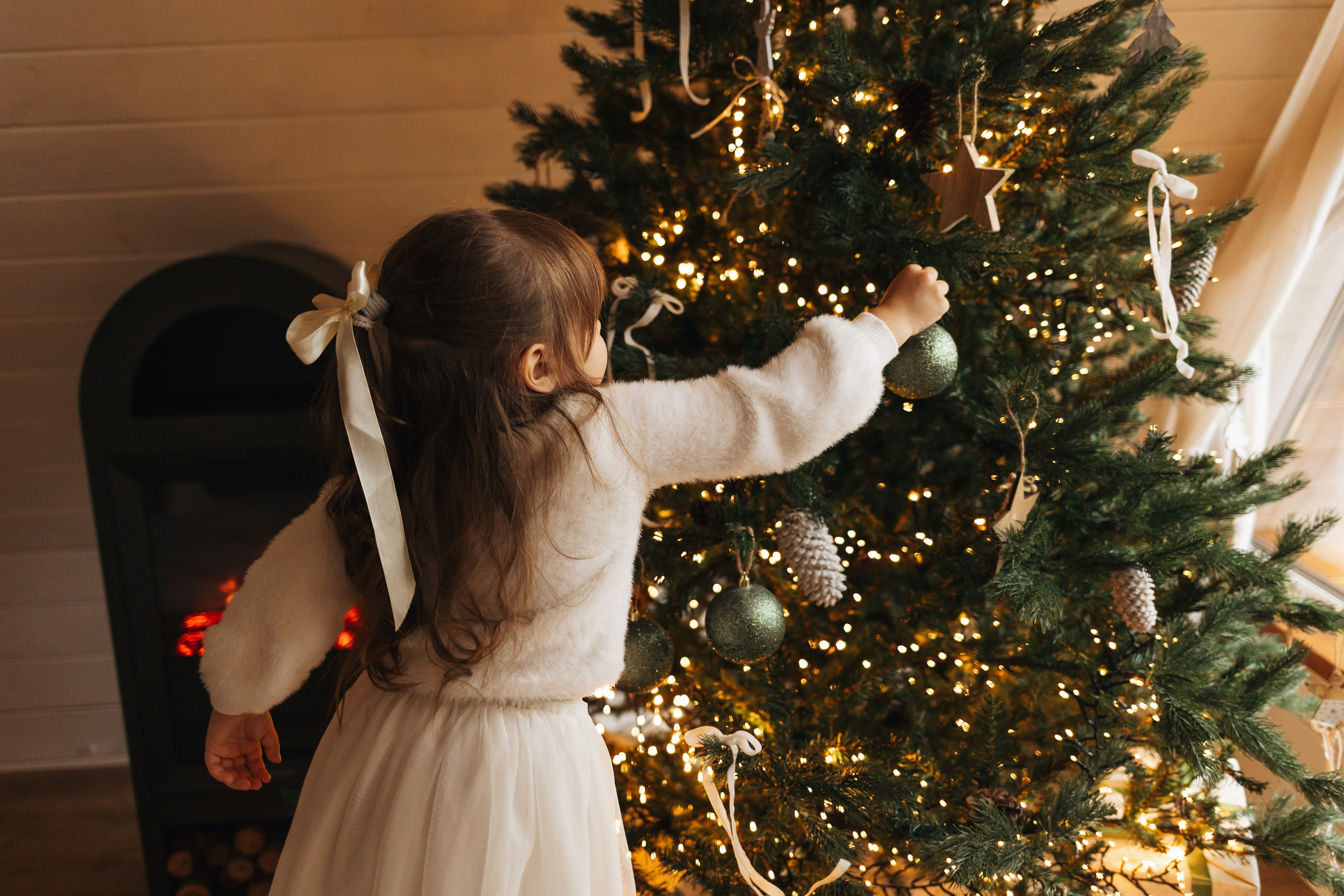 Lebedev's family Christmas 2025. Семейный фотограф в Кишинёве Пулькина Ольга