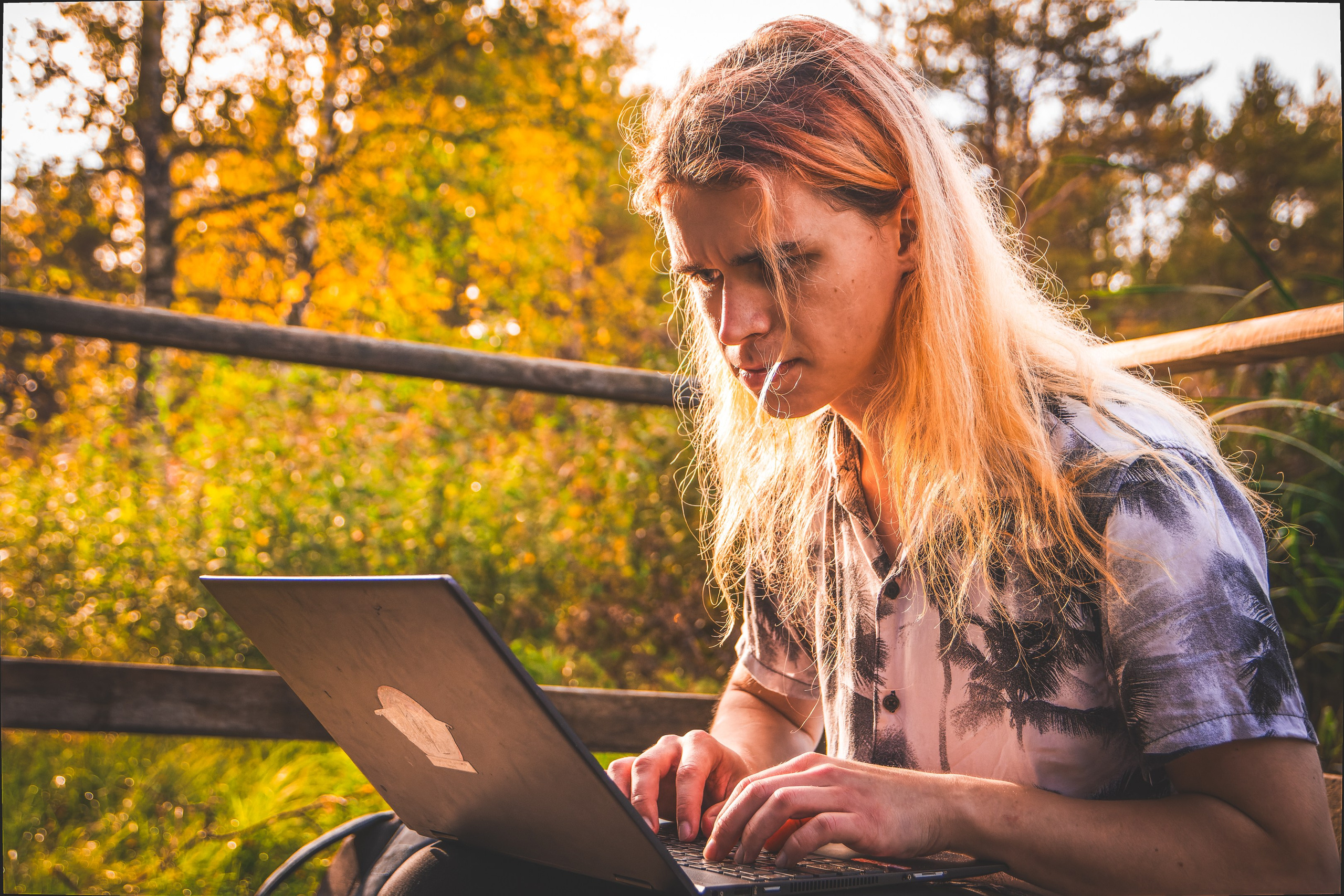 Mets, vihm ja jahedus (Dimitry). Nebula 25 — Fotod teie hingele