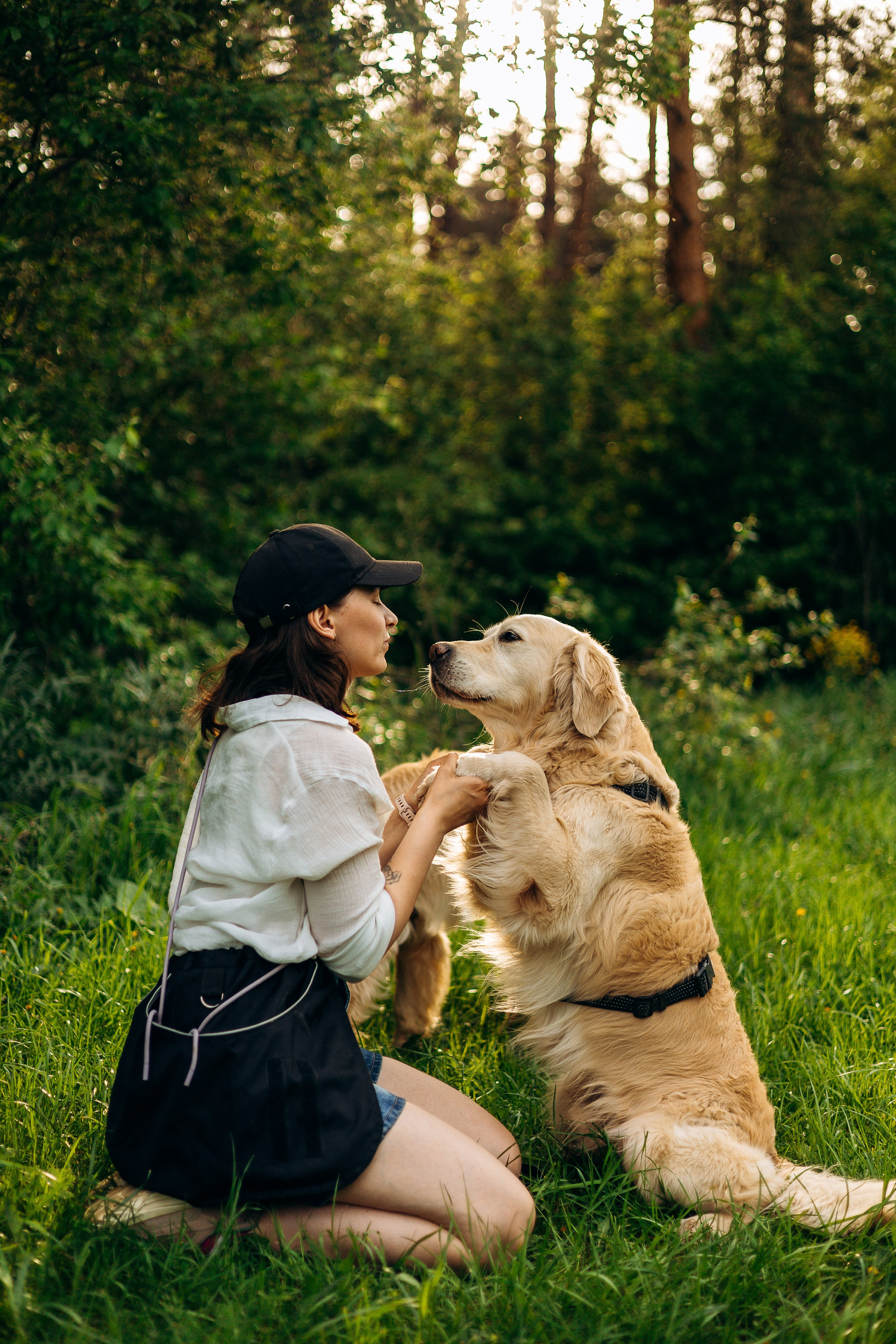 Настя, Арчи, Арагон. Фотограф-анималист | Белград