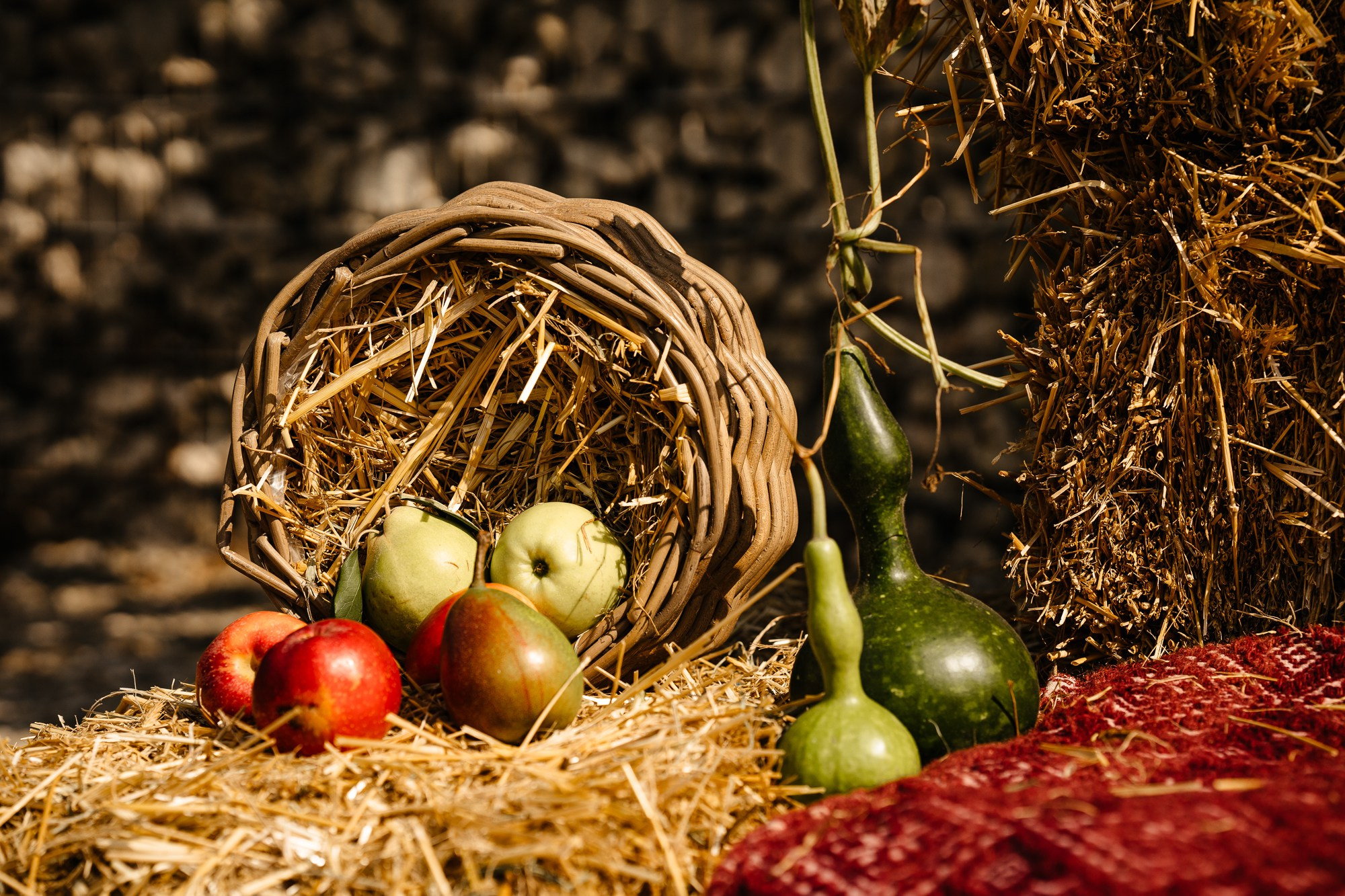 Fotografie Horeca. Fotograf Corporate Business