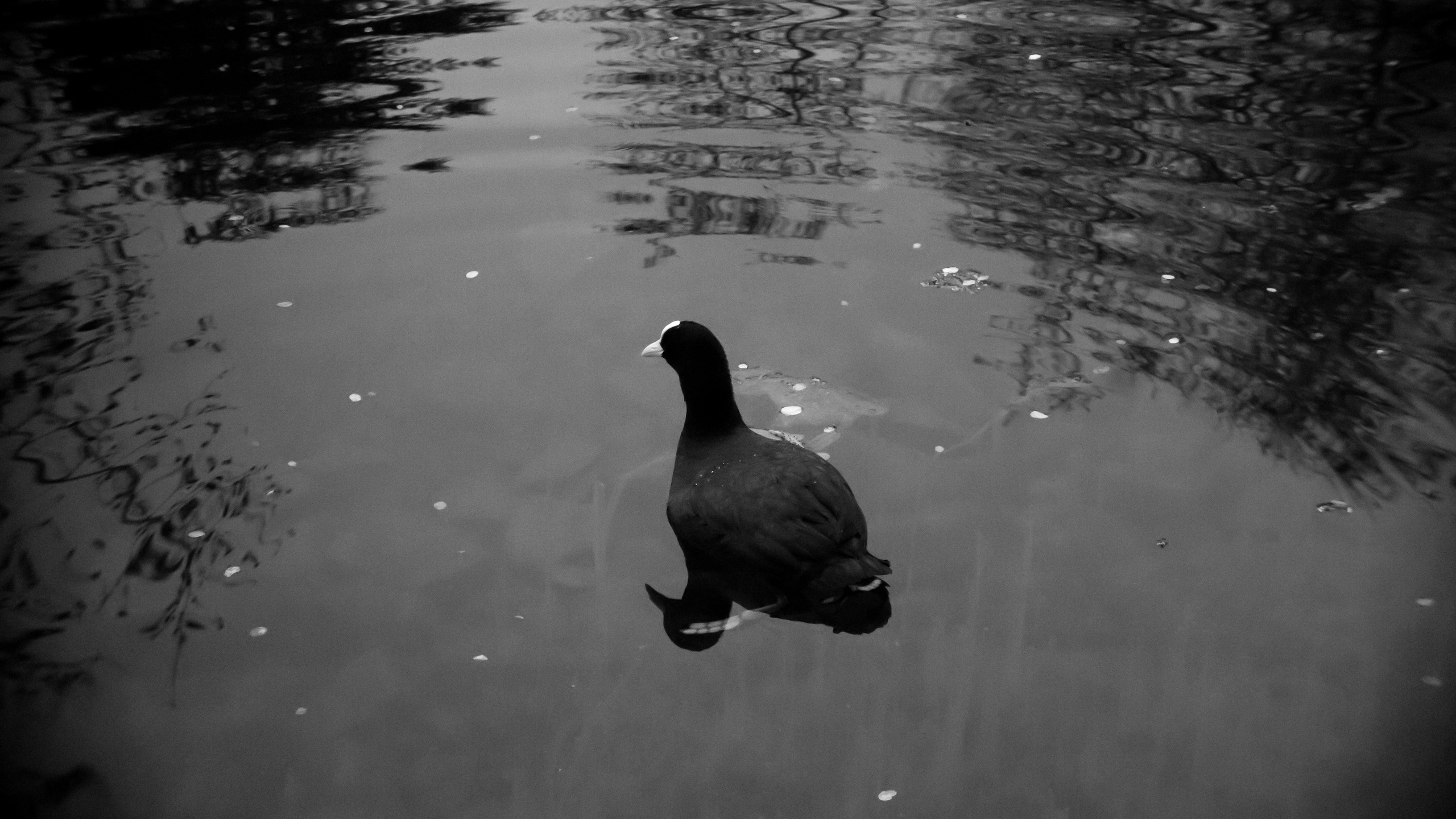 Essen, Papenburg, Germany short film. Éclat Photos. Exclusive portrait photography service