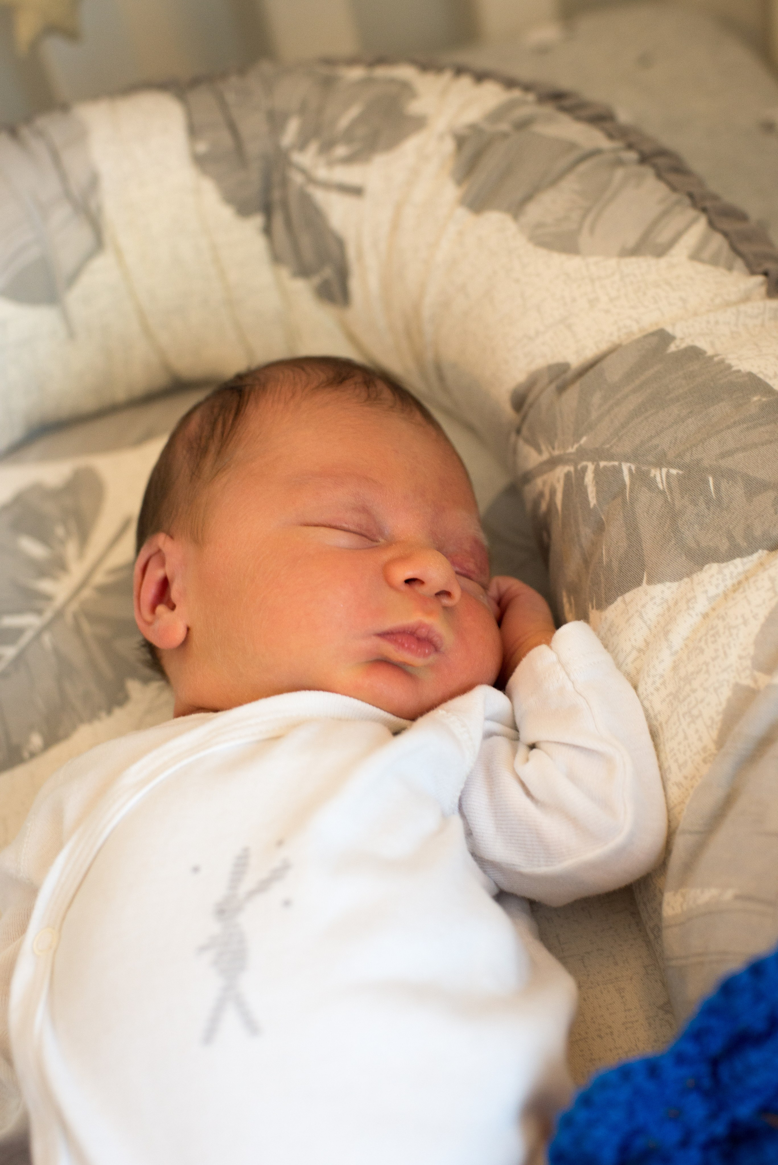 Семья Ильи и Мелани. Визуальный брендинг