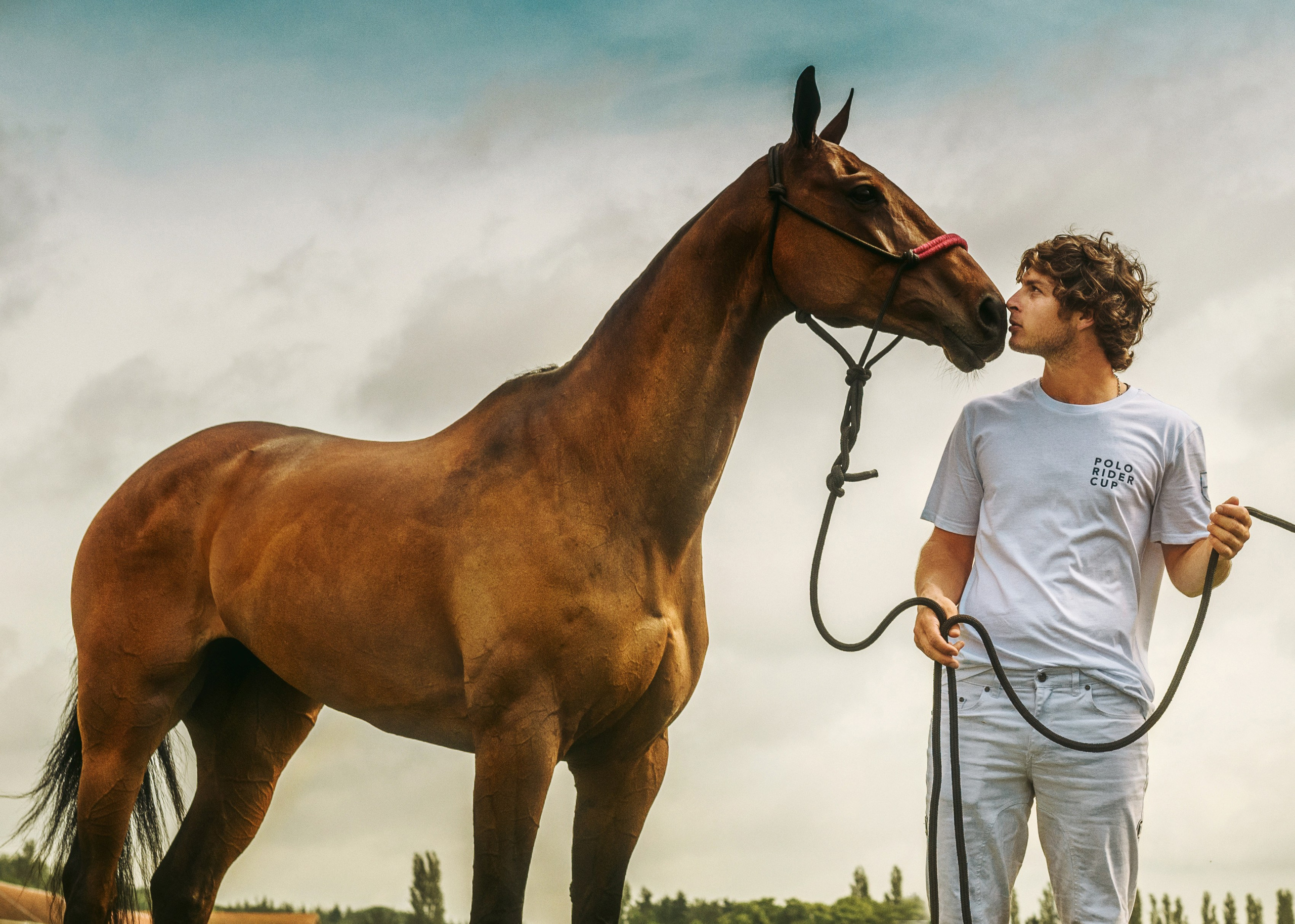 Photo shoot with horses