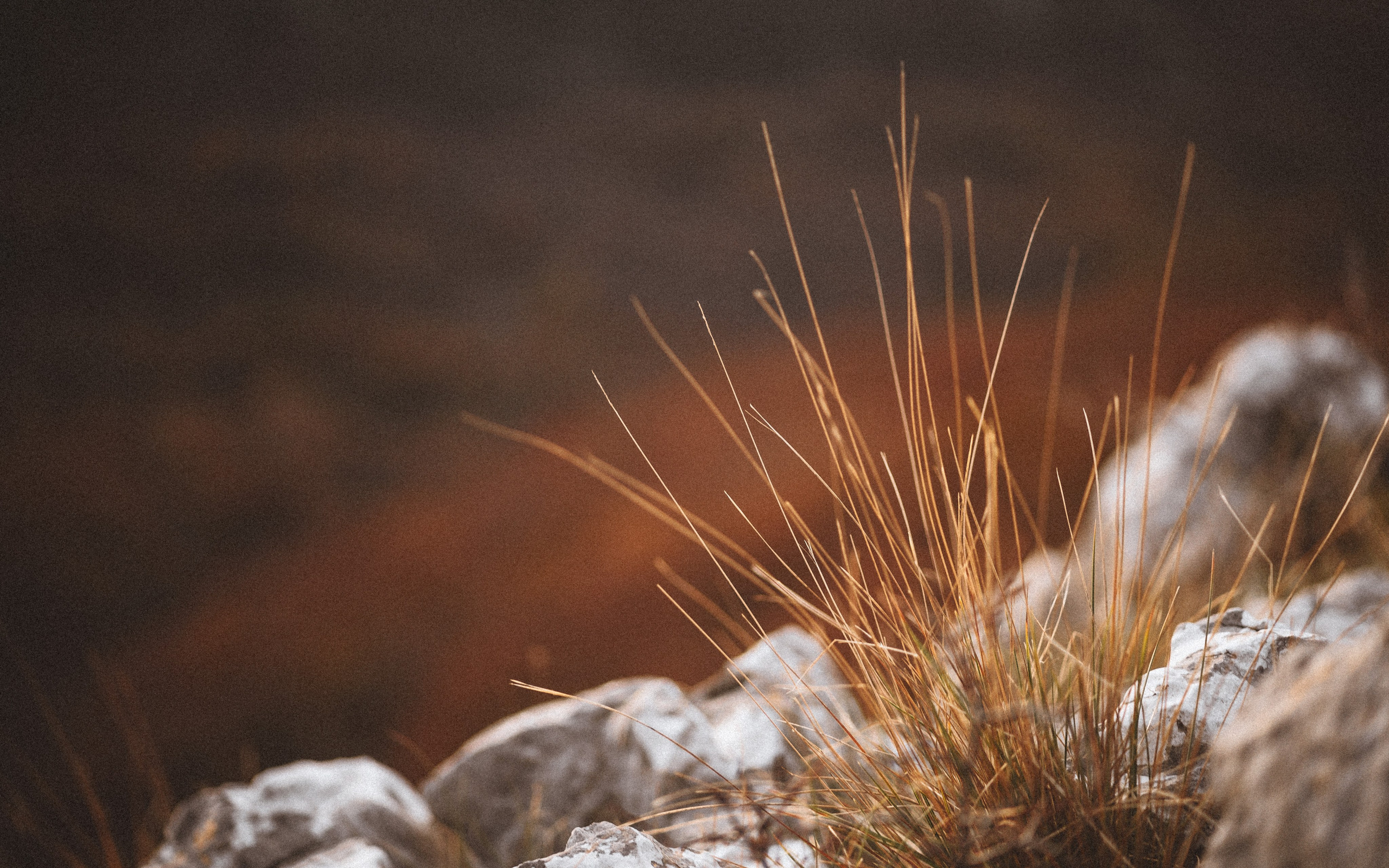 LANDSCAPE. PHOTOGRAPHER|VIDEOGRAPHER MONTENEGRO