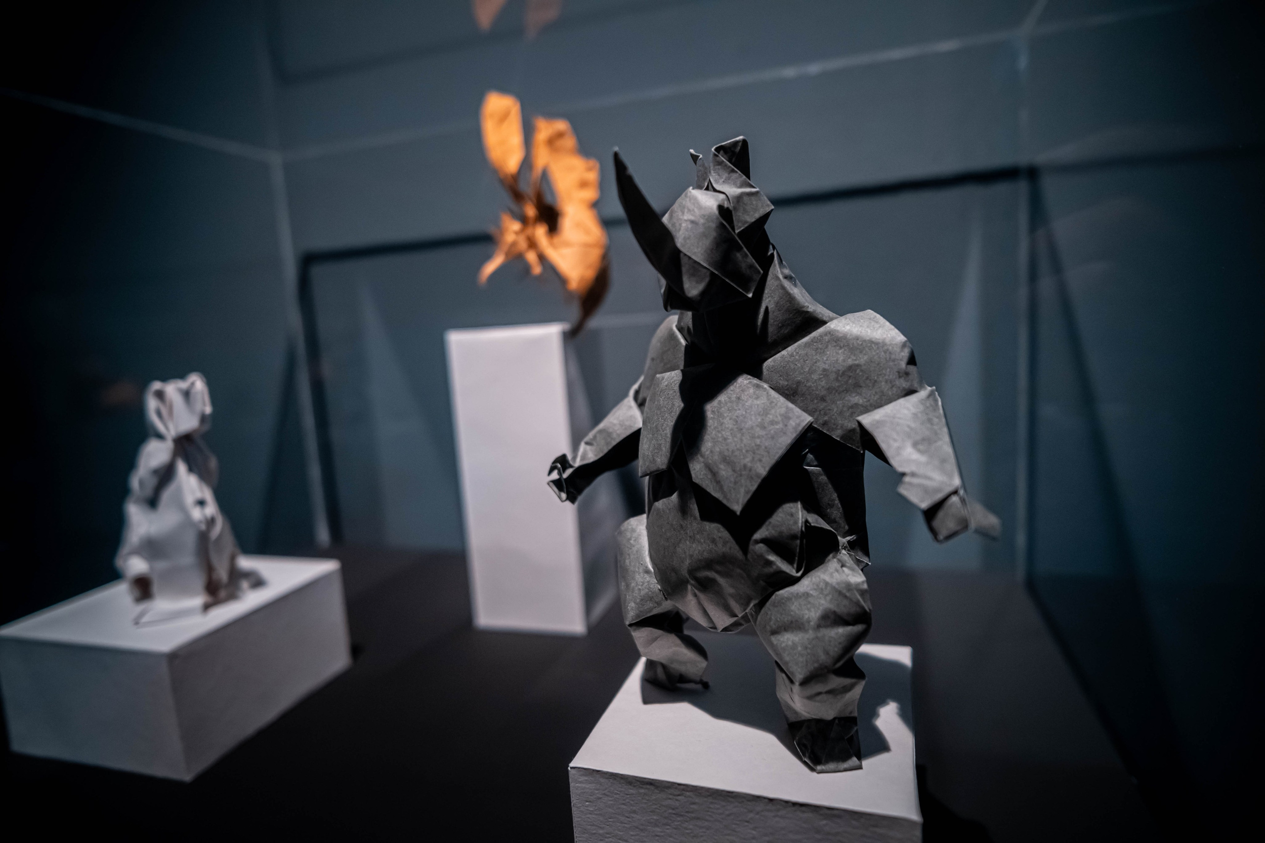 Museo de origami, Zaragoza. Alba del Norte Studio