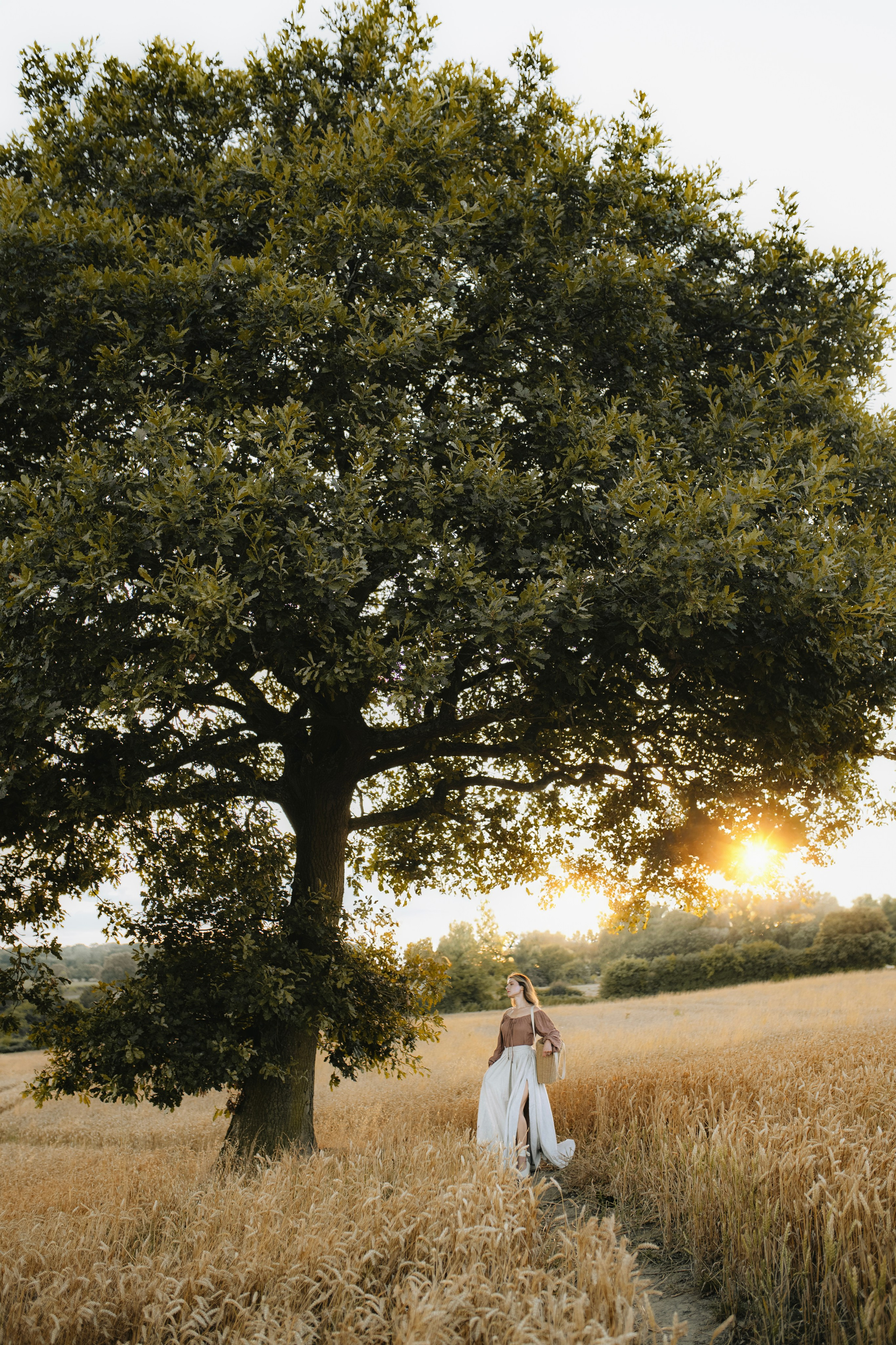 Summer in the countryside. Tania Gandrabur, photographer in West Midlands, England