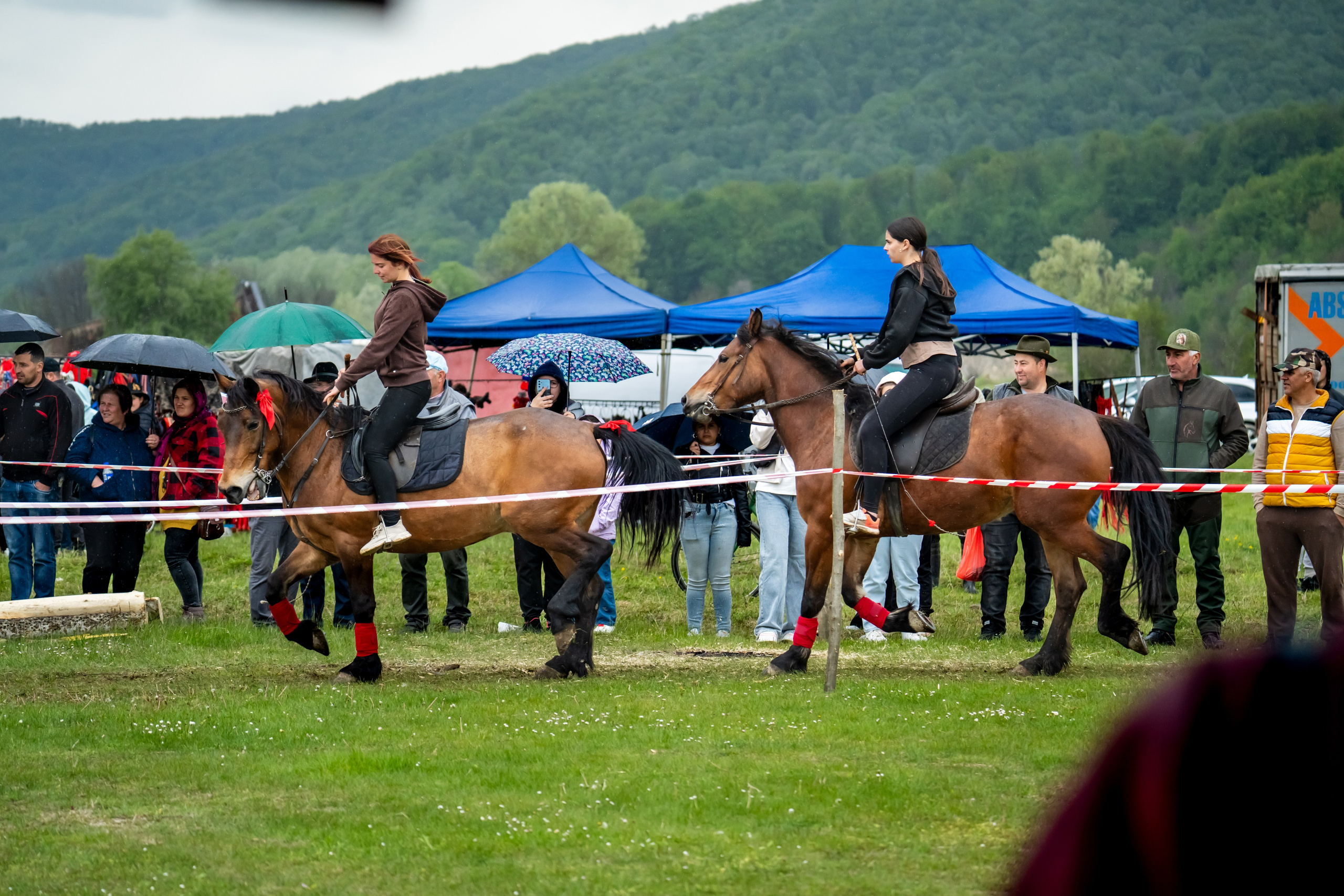 Concurs Ecvestru Vărbilău ediția a 4-a. Mihai Alexandra Events