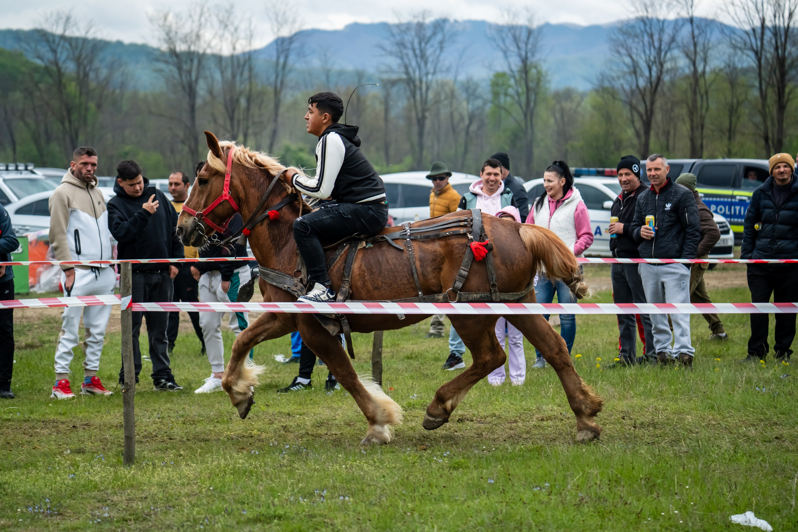 Concurs Ecvestru Vărbilău ediția a 4-a. Mihai Alexandra Events