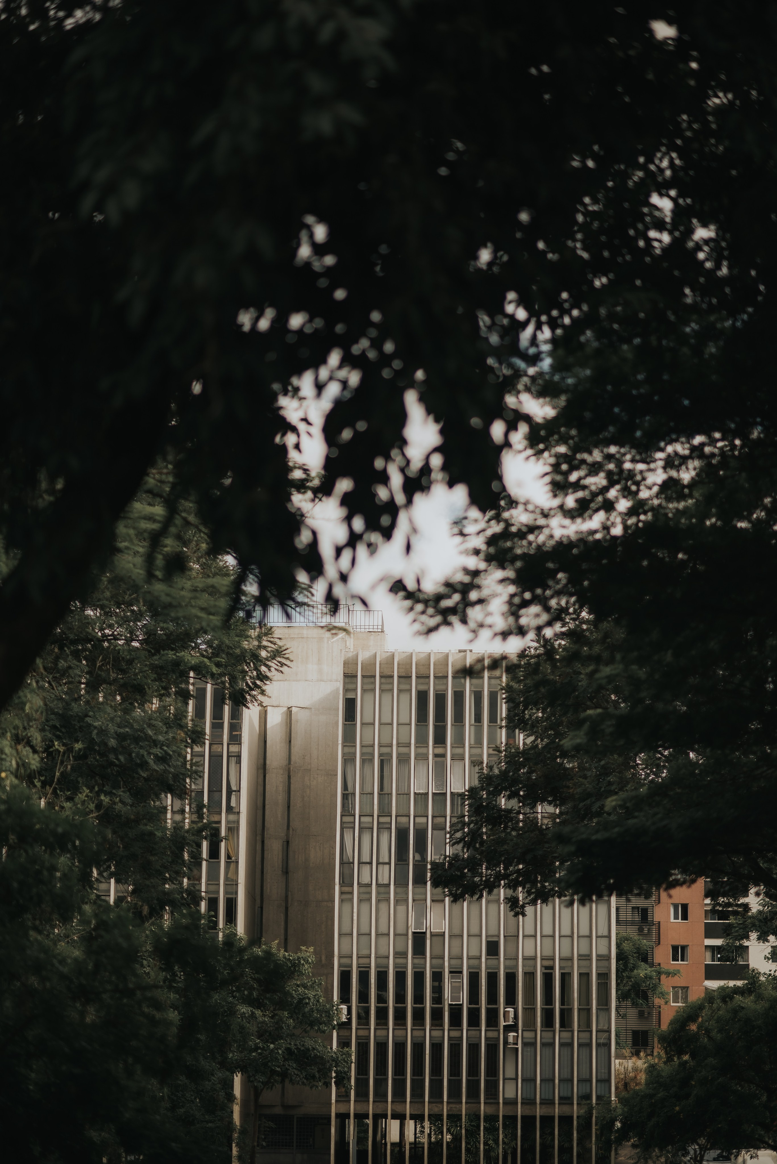 Hadassa e Rômulo. Fabio Barth | Foto e Filme de casamento