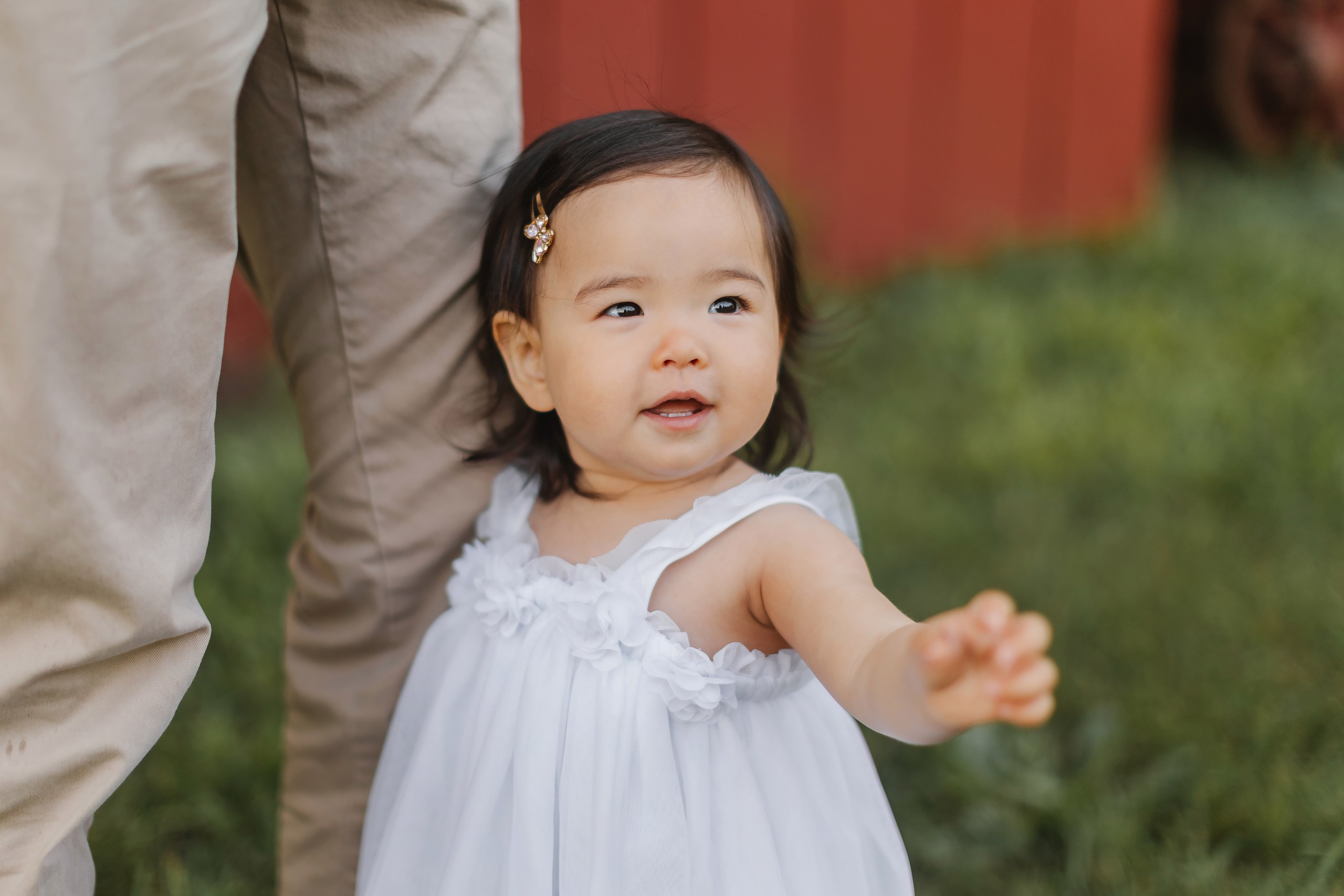 05.25.26 Family Photoshoot. Wedding family event photographer in Chicago Nick Yushevich