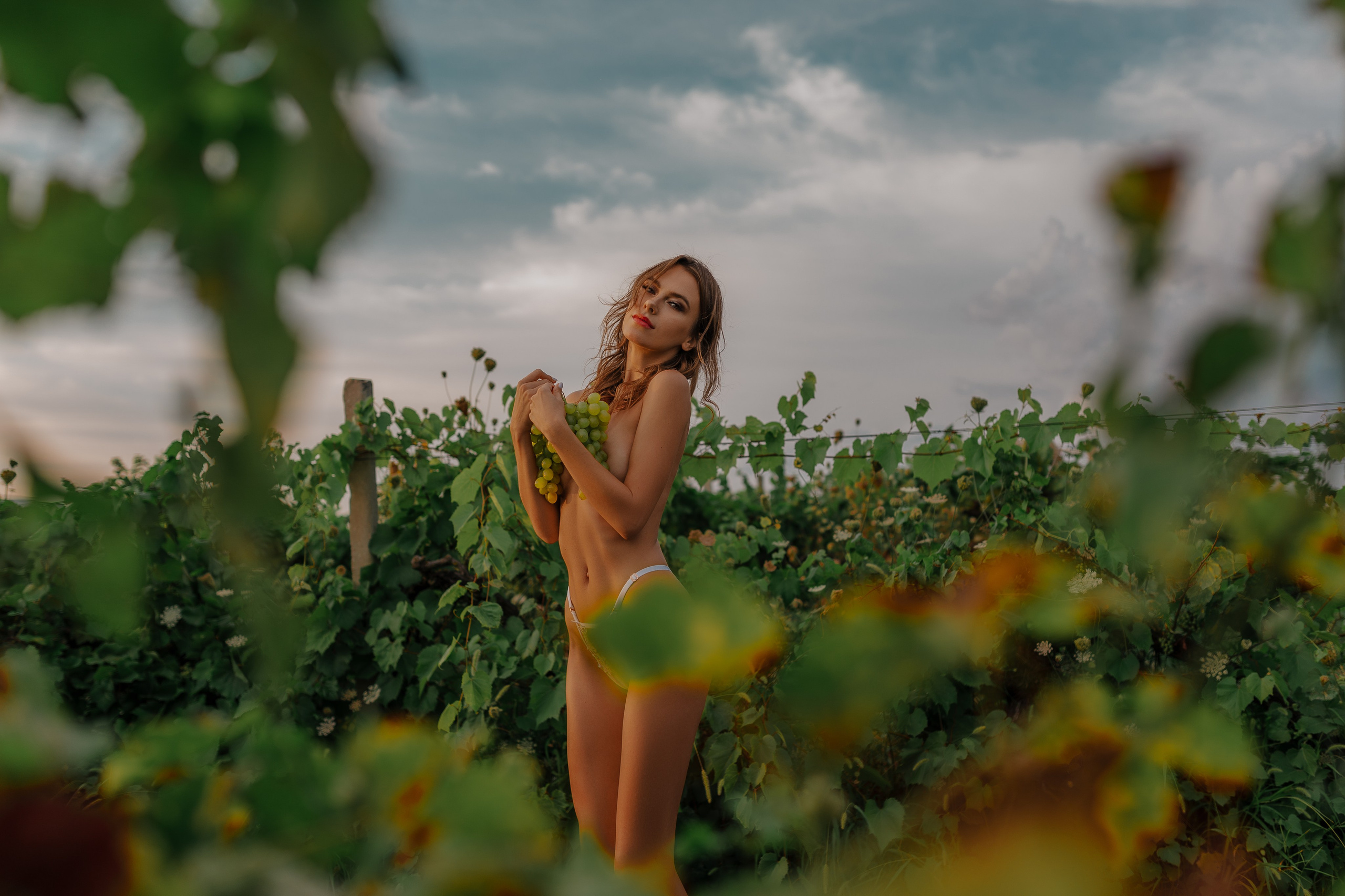 Grape Gatherer in the Vineyard. The model, topless, stands amid the vineyard, gathering grapes with a sensual yet natural elegance. This photo is ideal for vineyard promotional materials, natural beauty products, or lifestyle photography in rustic style