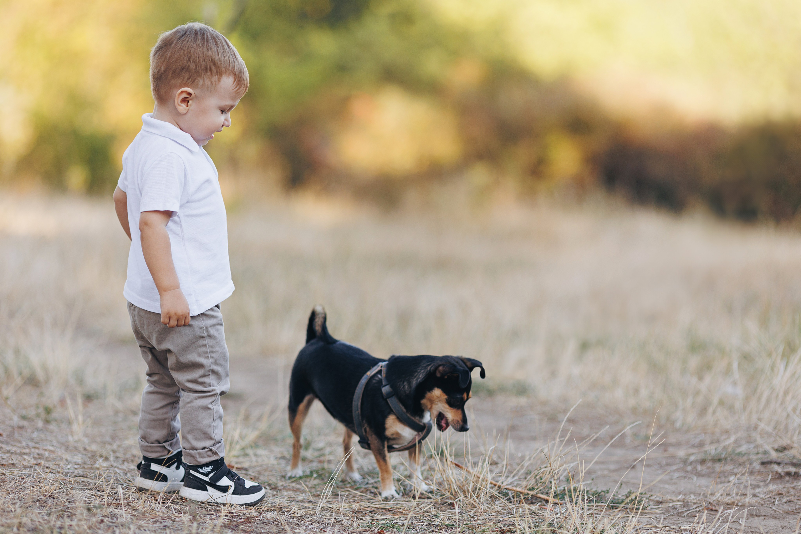 Матвей. Семейный фотограф в Кишинёве Пулькина Ольга